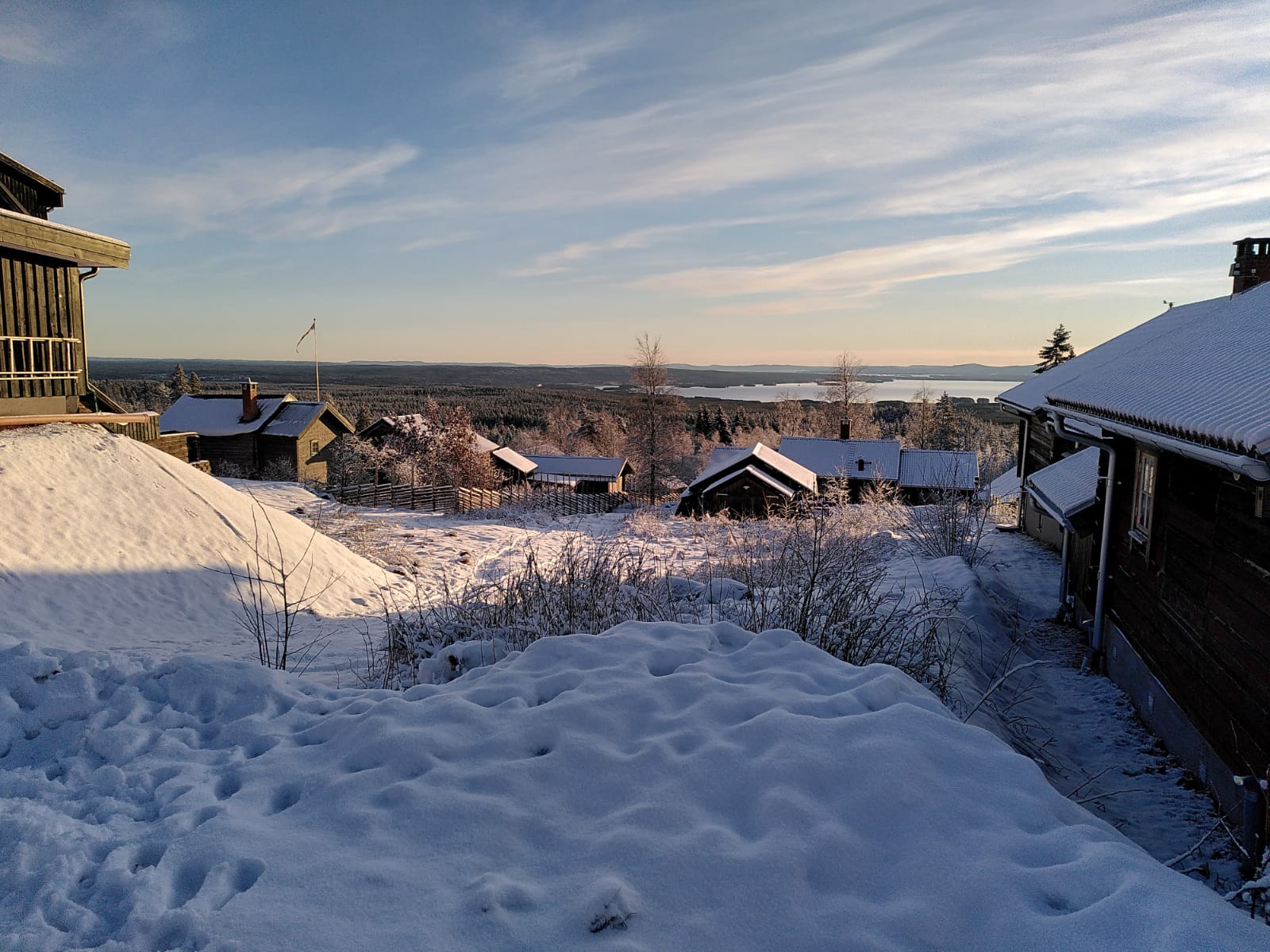79074F18-614E-4E0C-A5E5-053991C725E6.jpeg