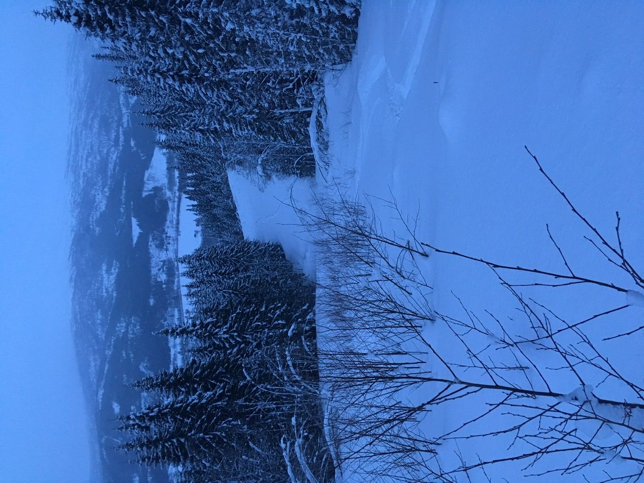 8545D0E1-23C2-469C-BA6C-C83A63058B22.jpeg