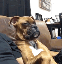 9F3EA29F-FA4B-4077-9858-2BDB6848818B.gif