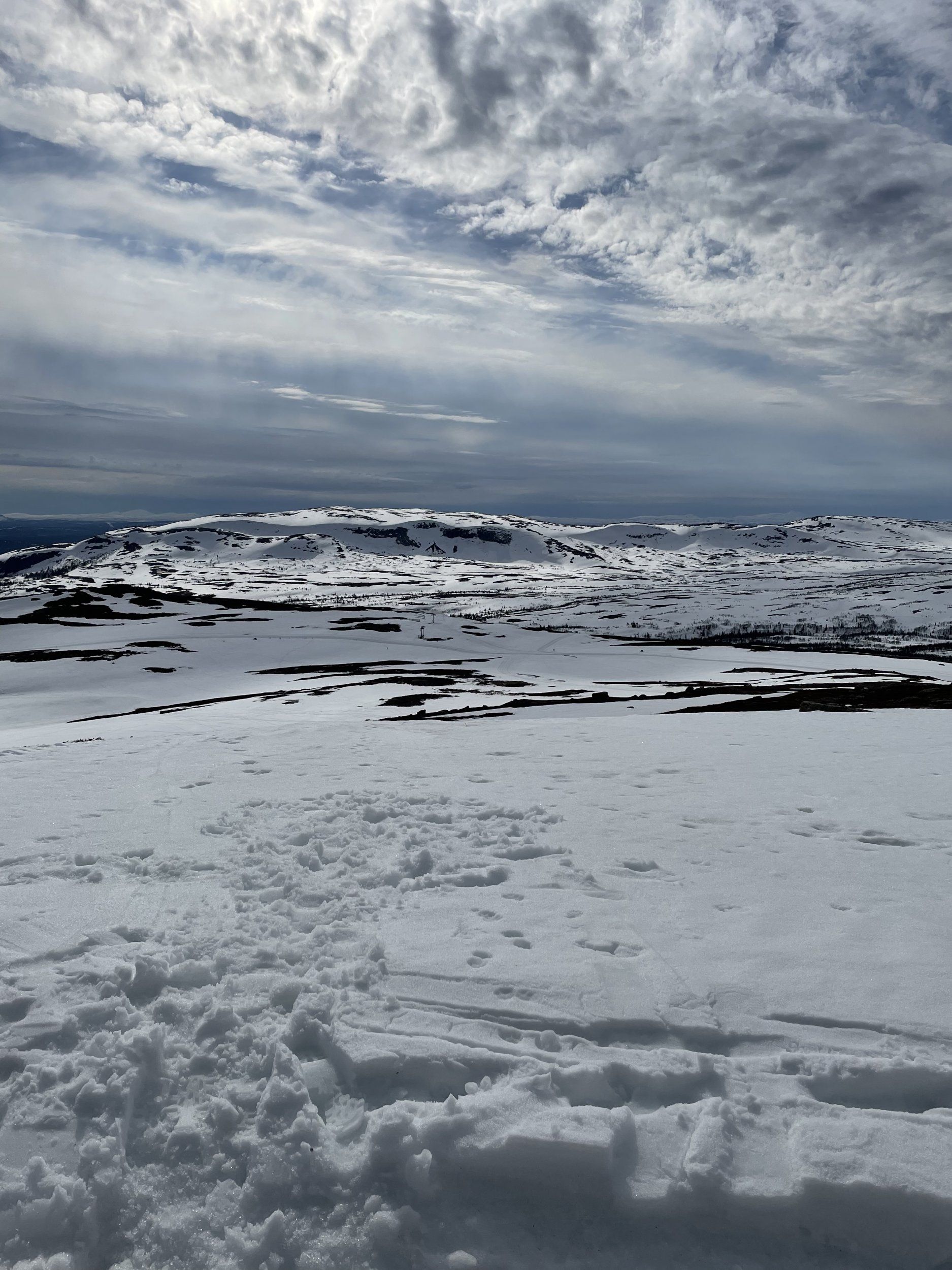 AA2544F0-EE16-4068-B2EF-7480F438E3A6.jpeg