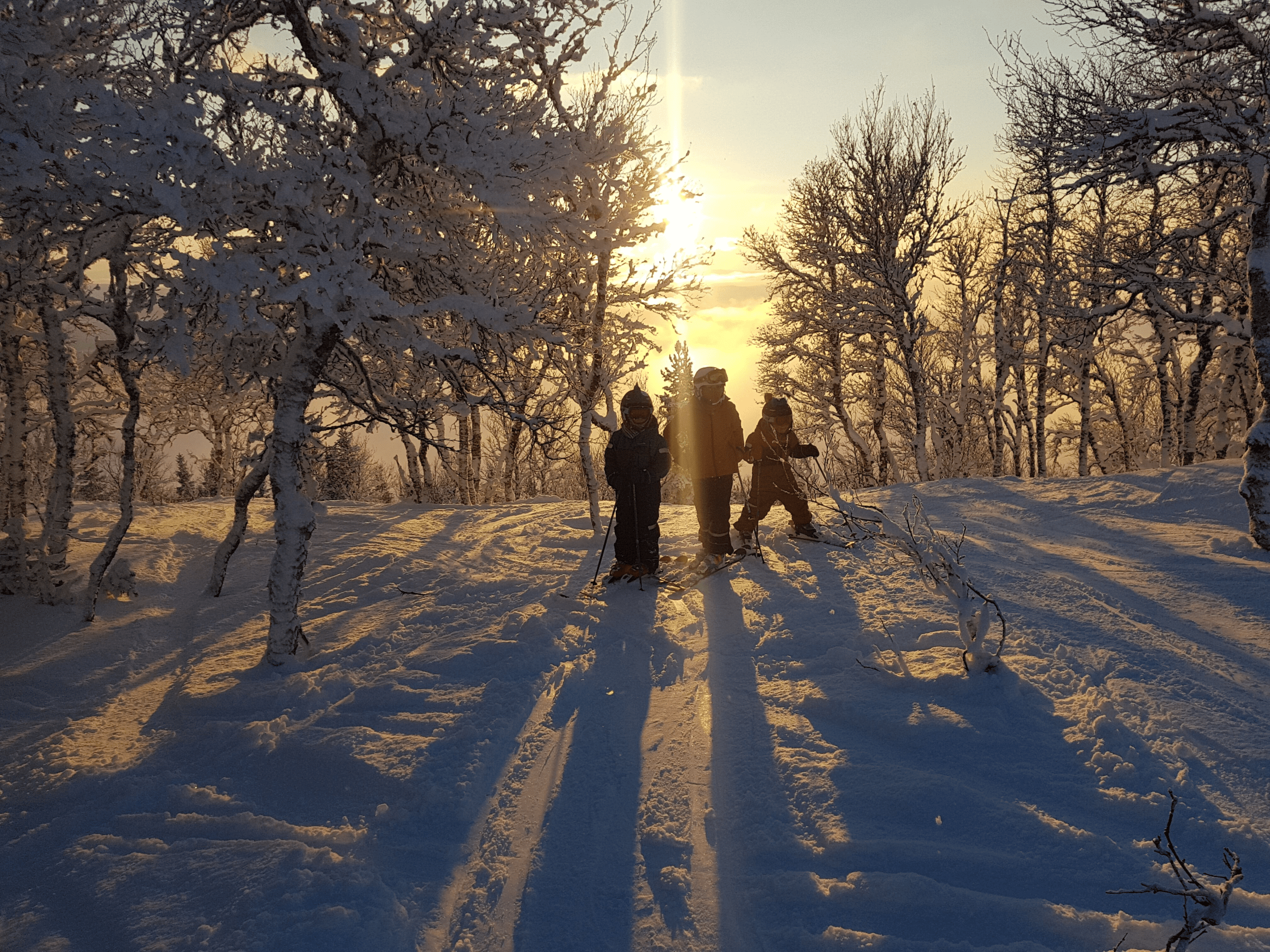 Åre 2019.png