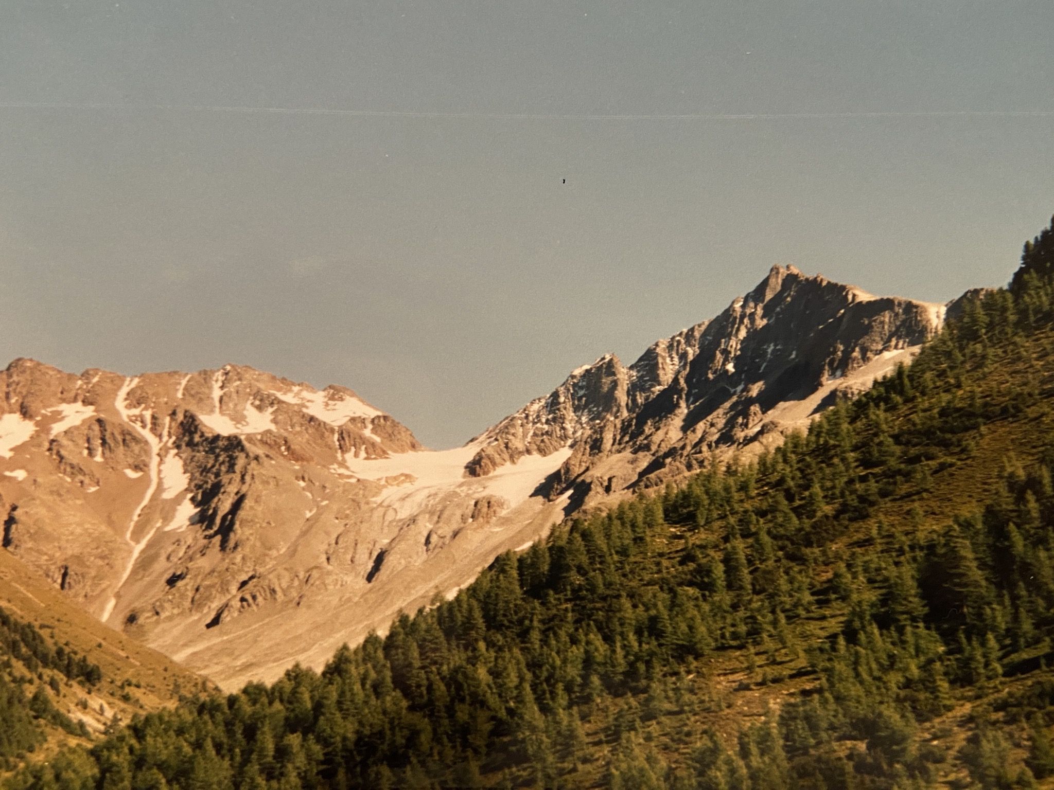 B36B2743-D174-45E6-9C4A-5DE832D1428E.jpeg