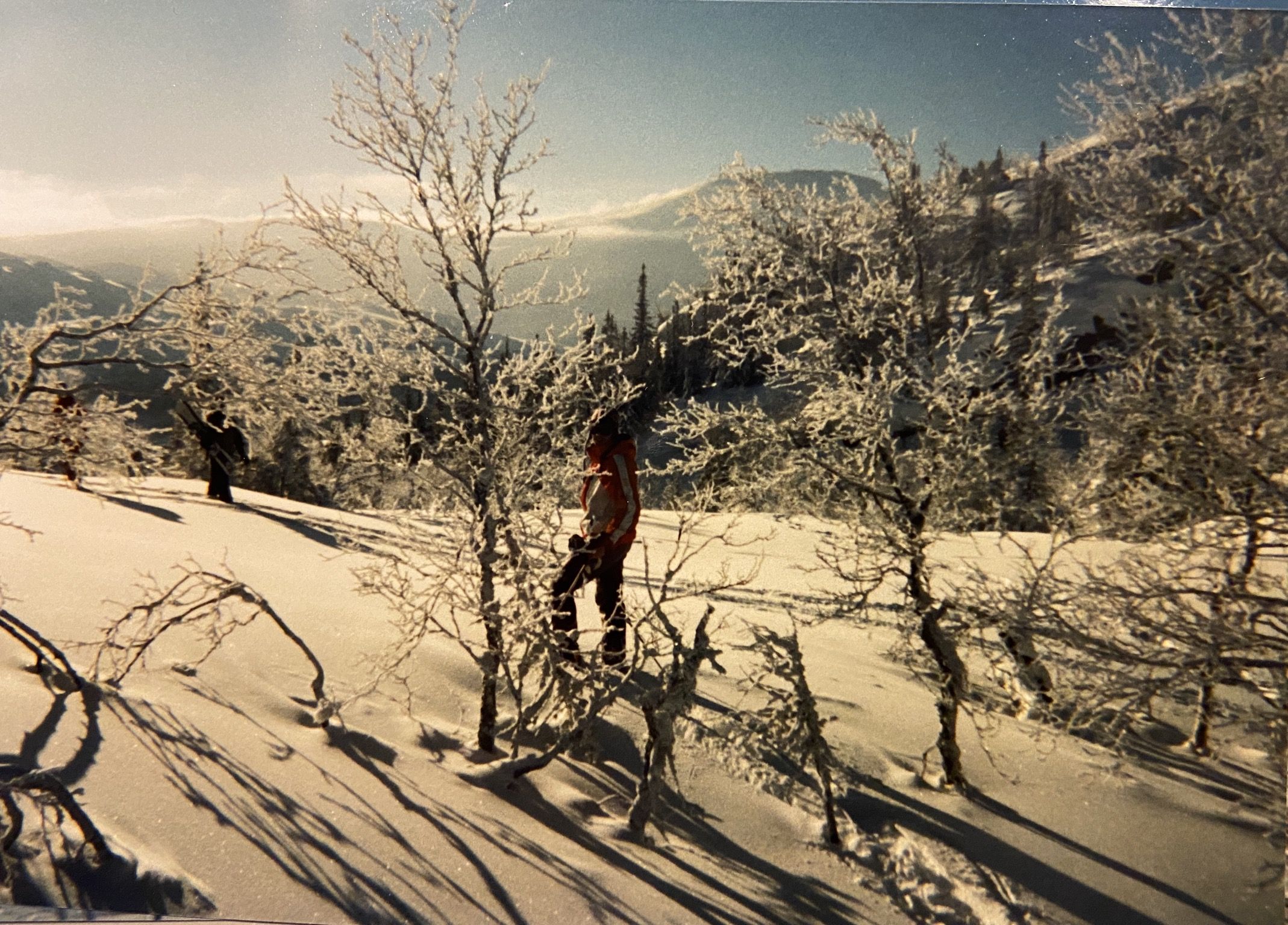 B8460550-82EA-4DF9-A783-78AF9FD22C6E.jpeg