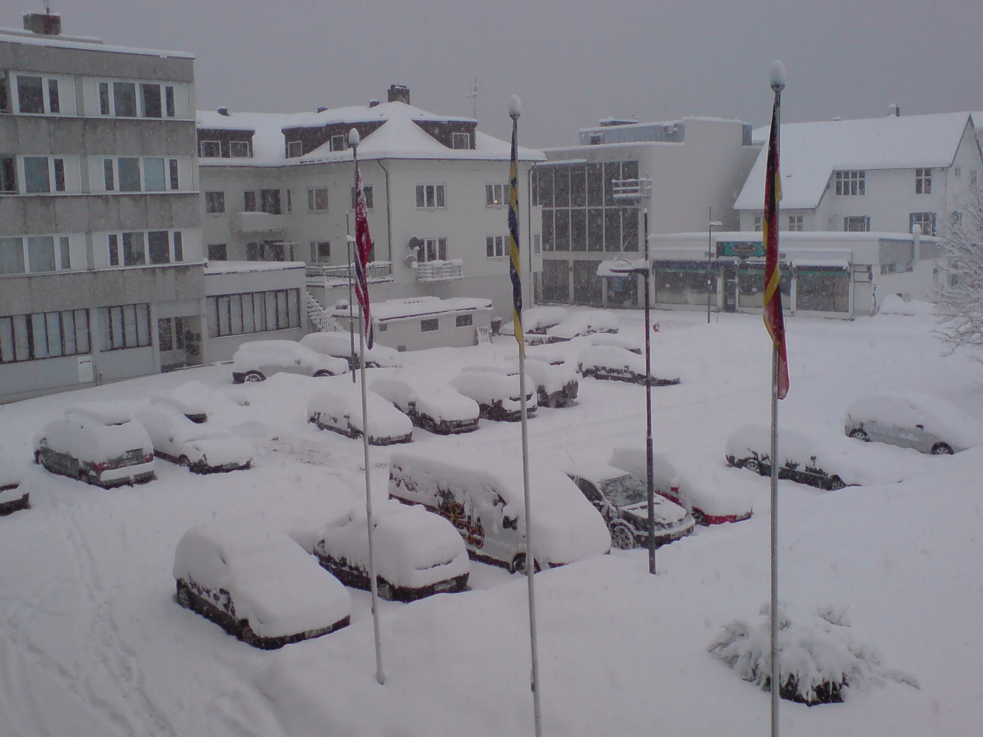 DSC00363.webp