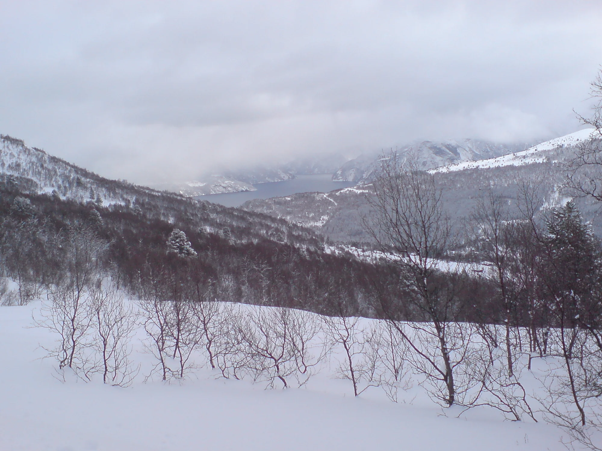 DSC00364.webp