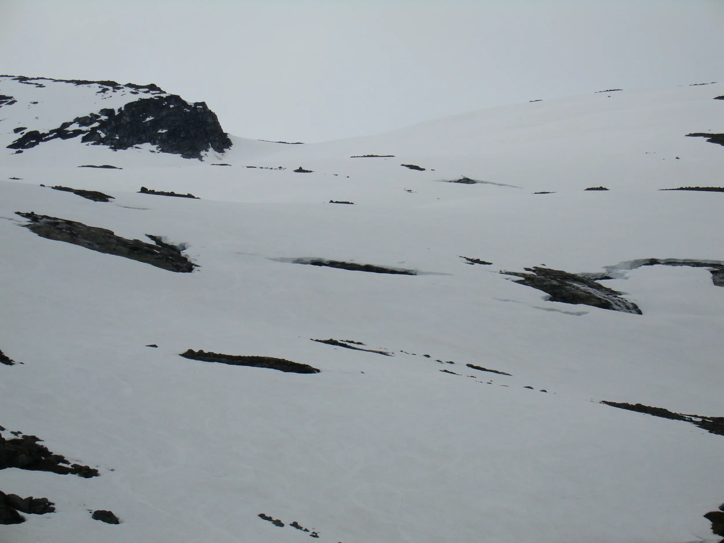 DSC00605_Original.webp