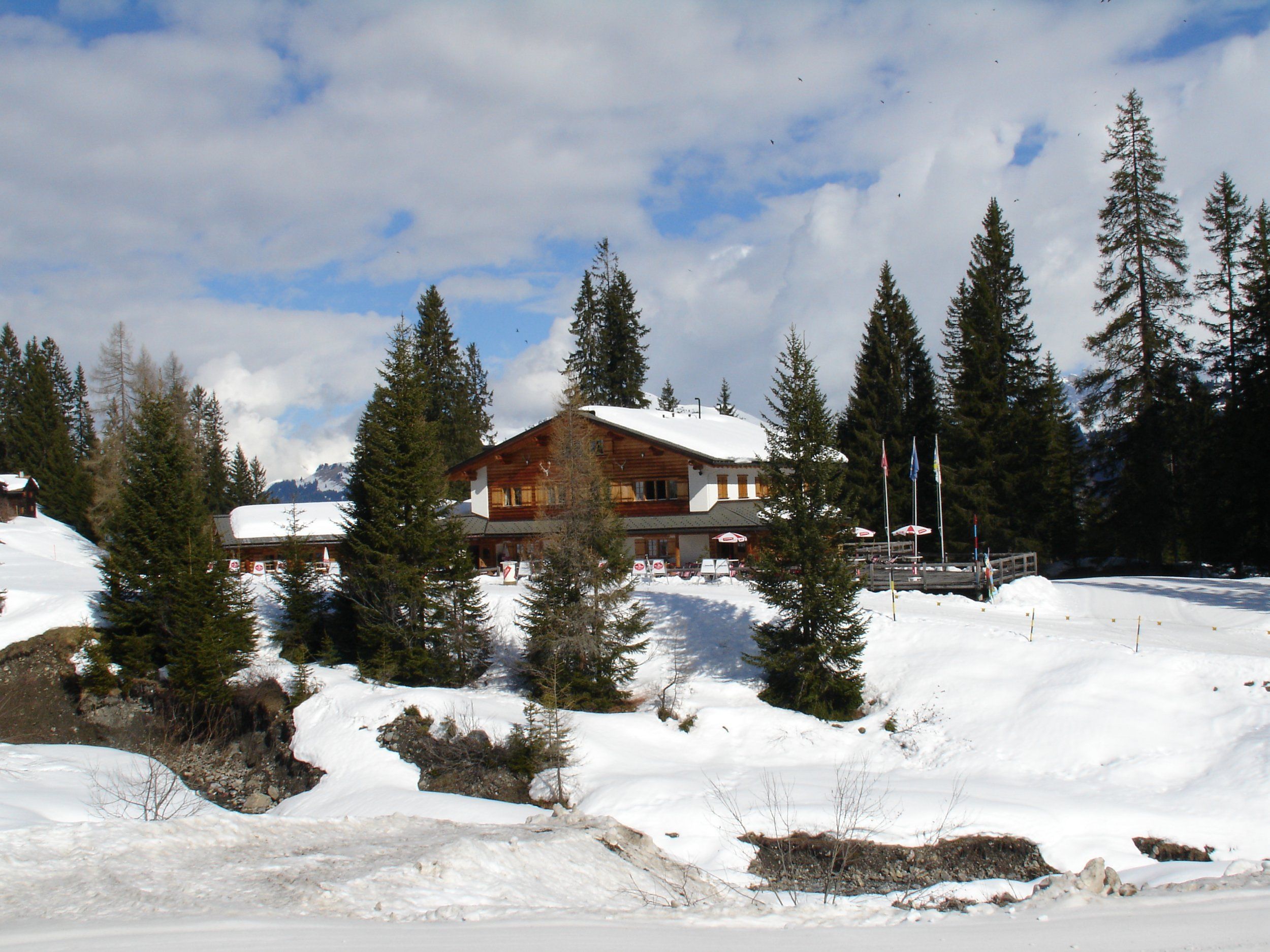 DSC01172.JPG