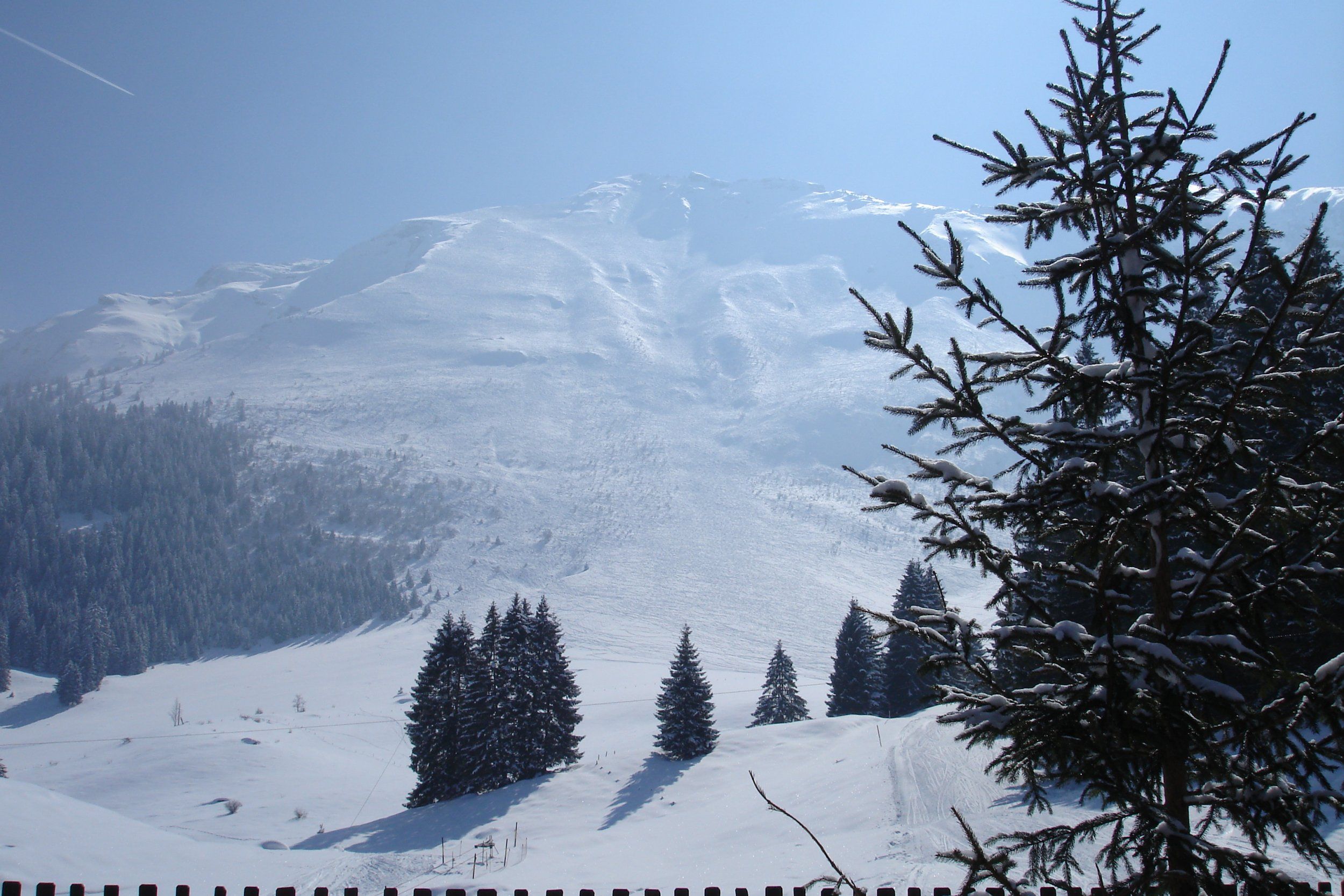 DSC01684.JPG