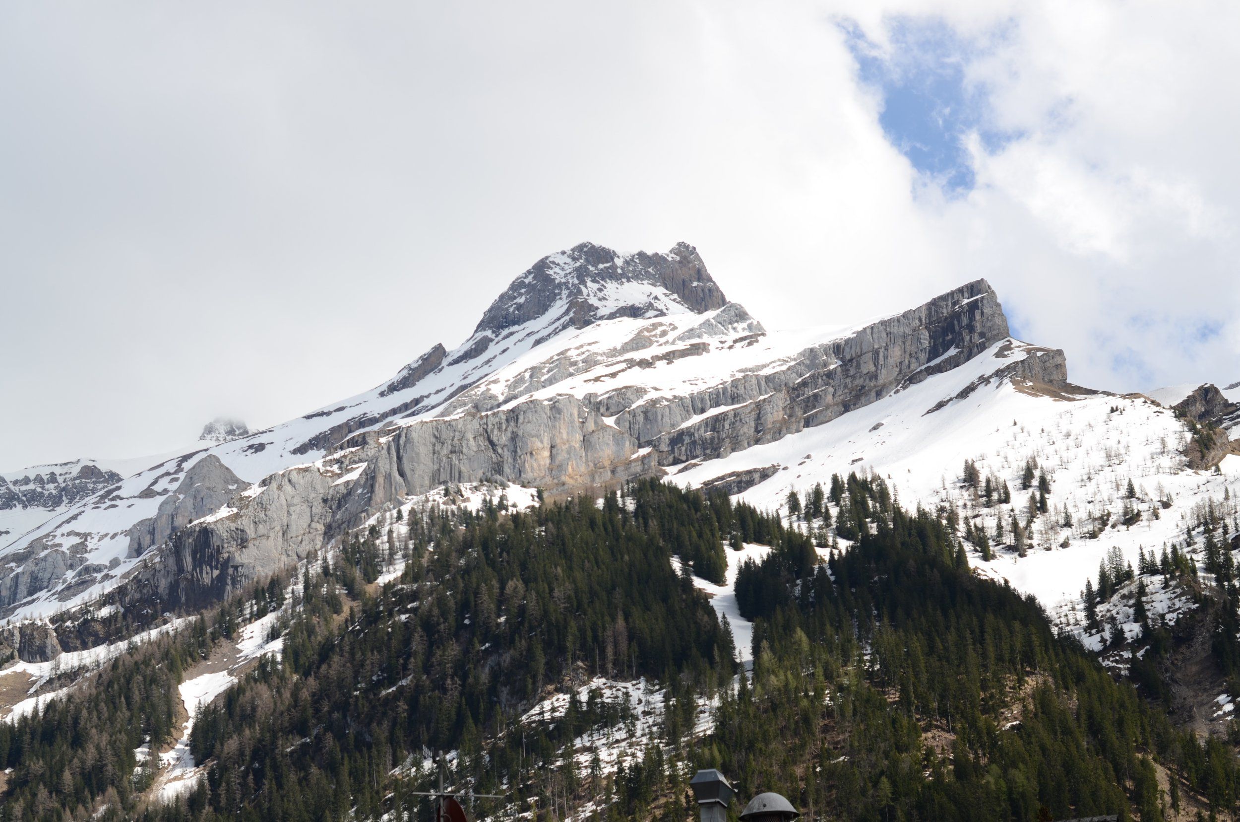 DSC_0233.JPG
