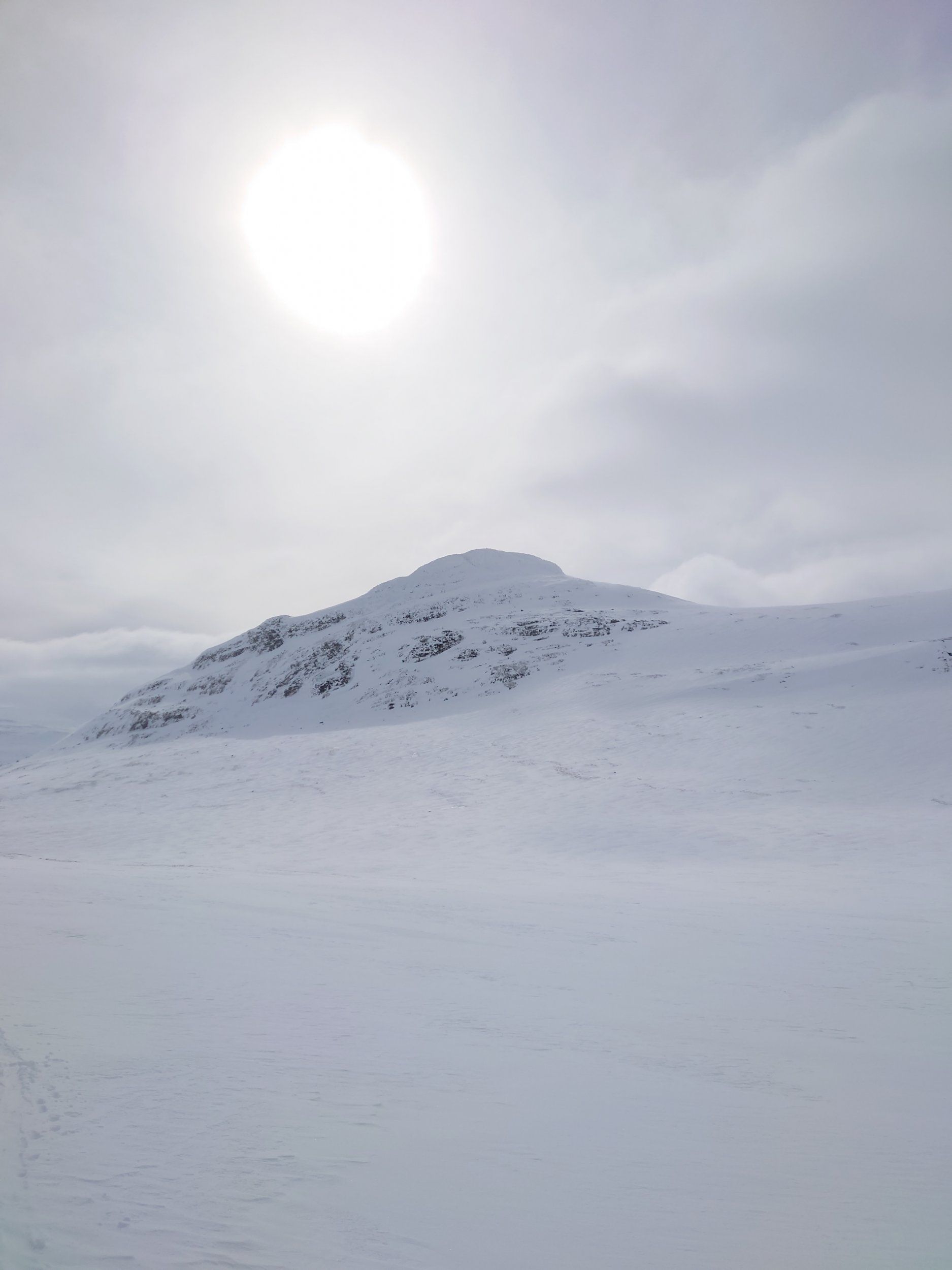 DSC_0703.JPG