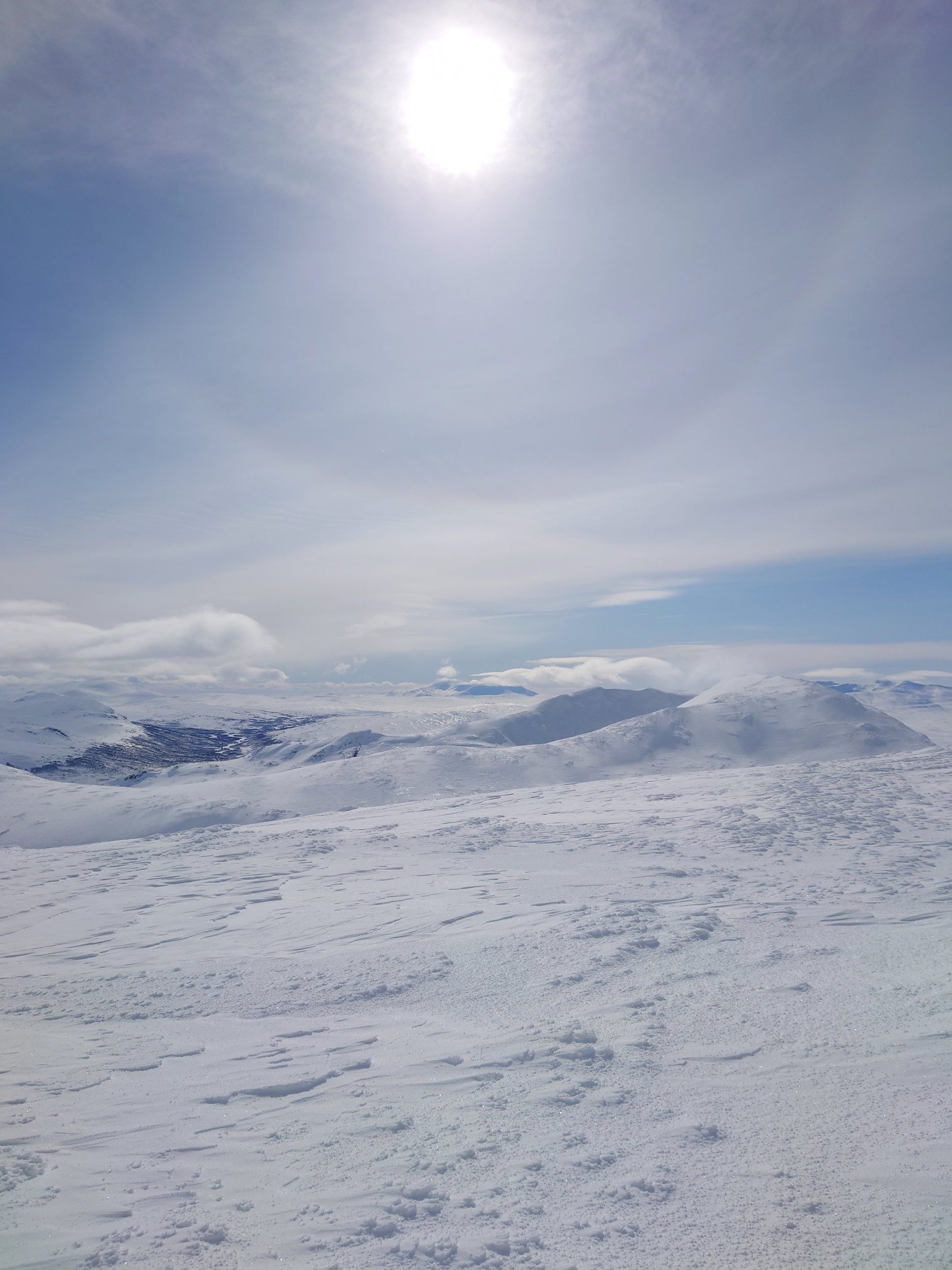 DSC_0724.JPG