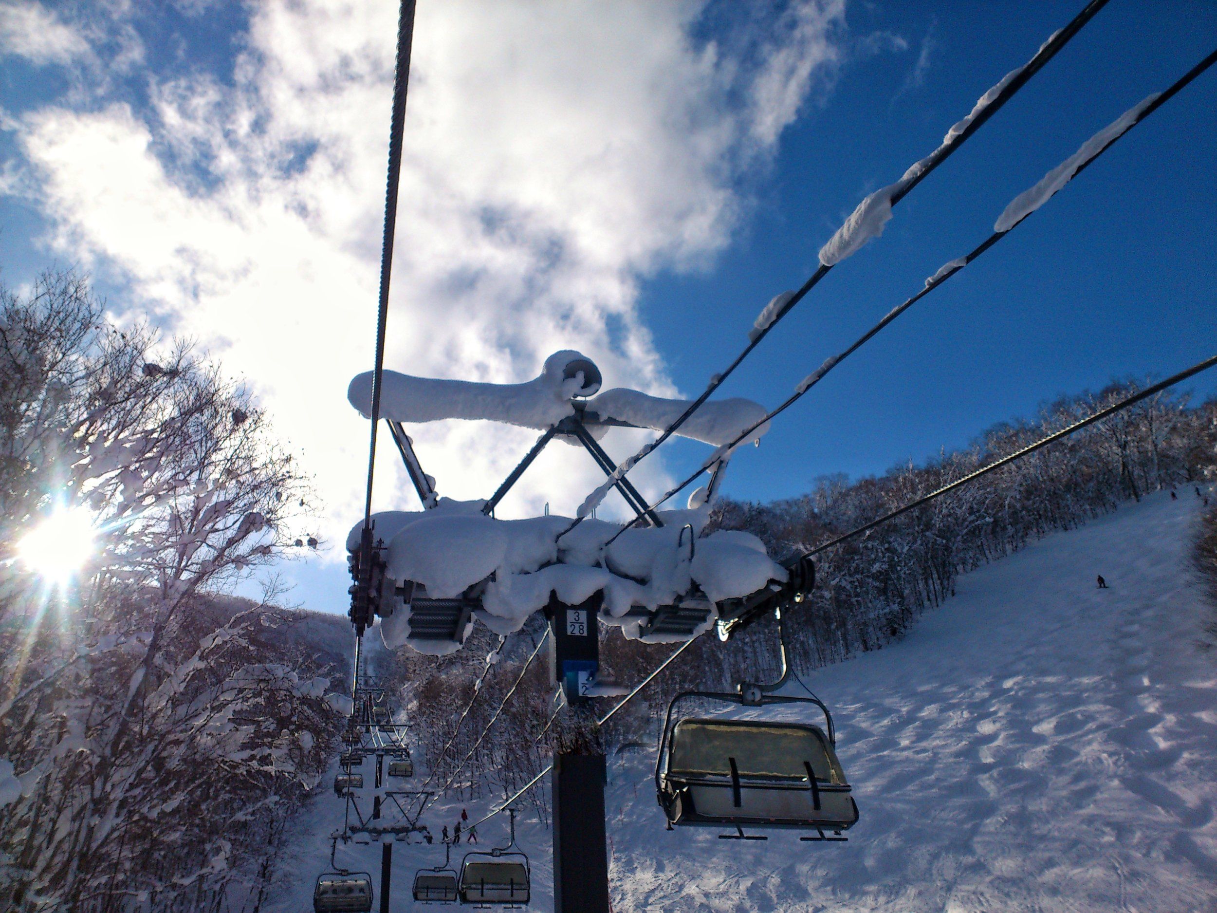 DSC_0797-01.jpeg