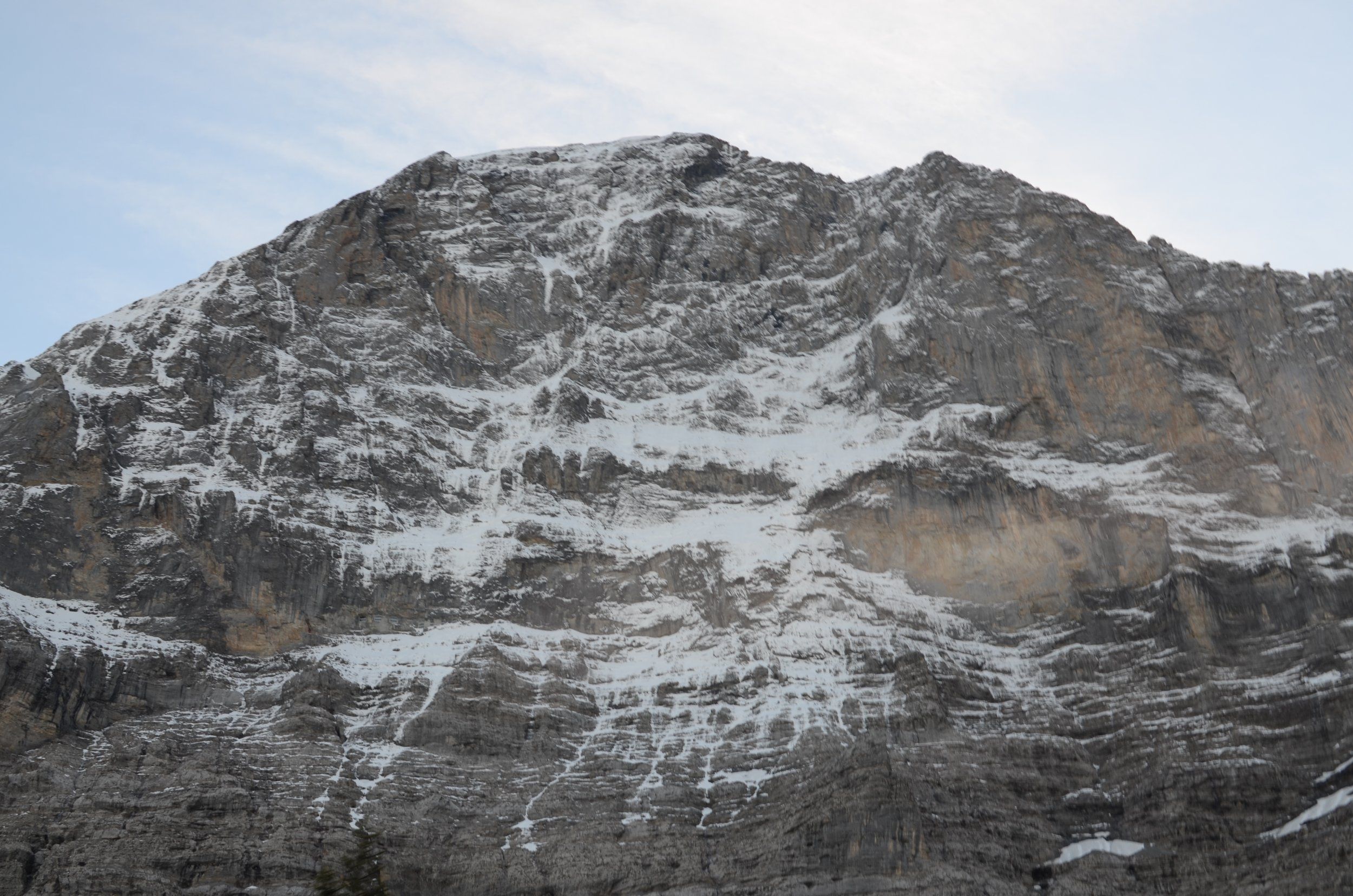 DSC_0881.JPG