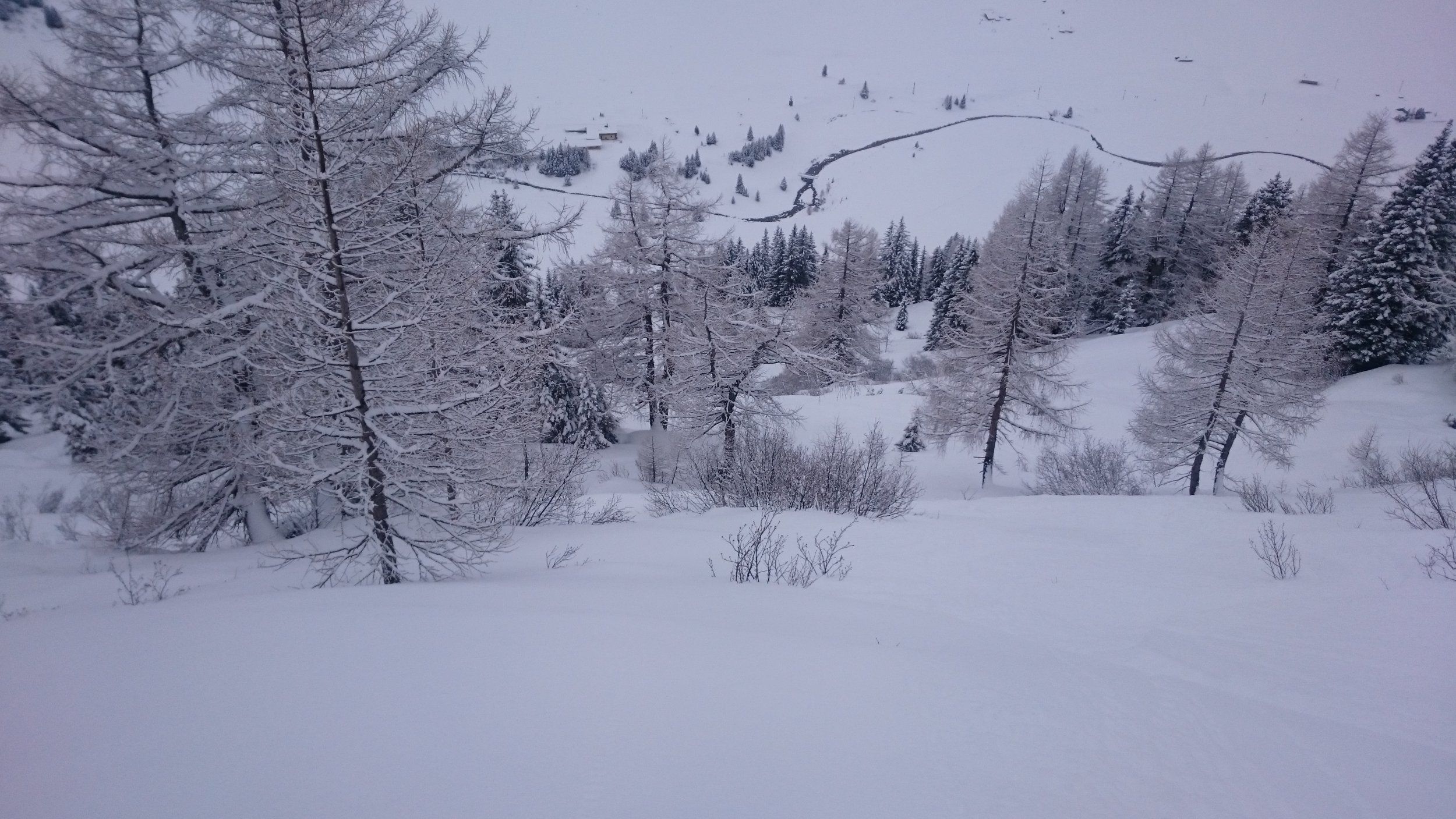 DSC_0894.JPG