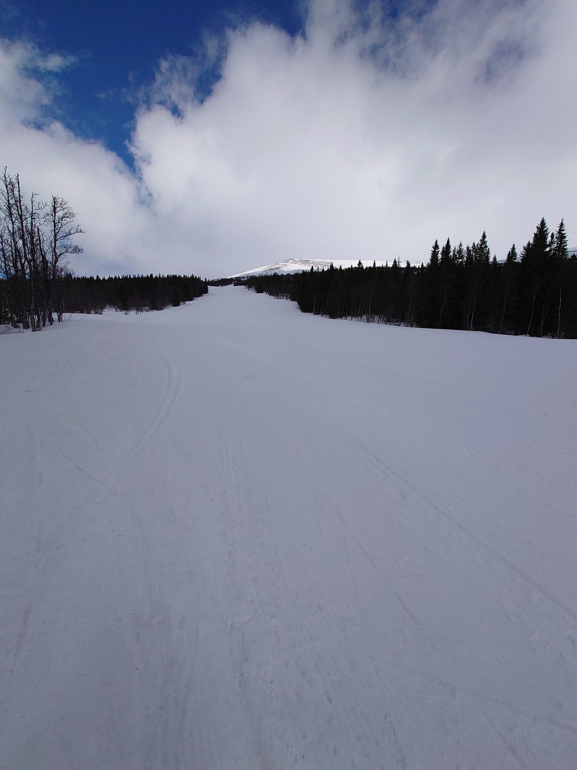DSC_0942.JPG