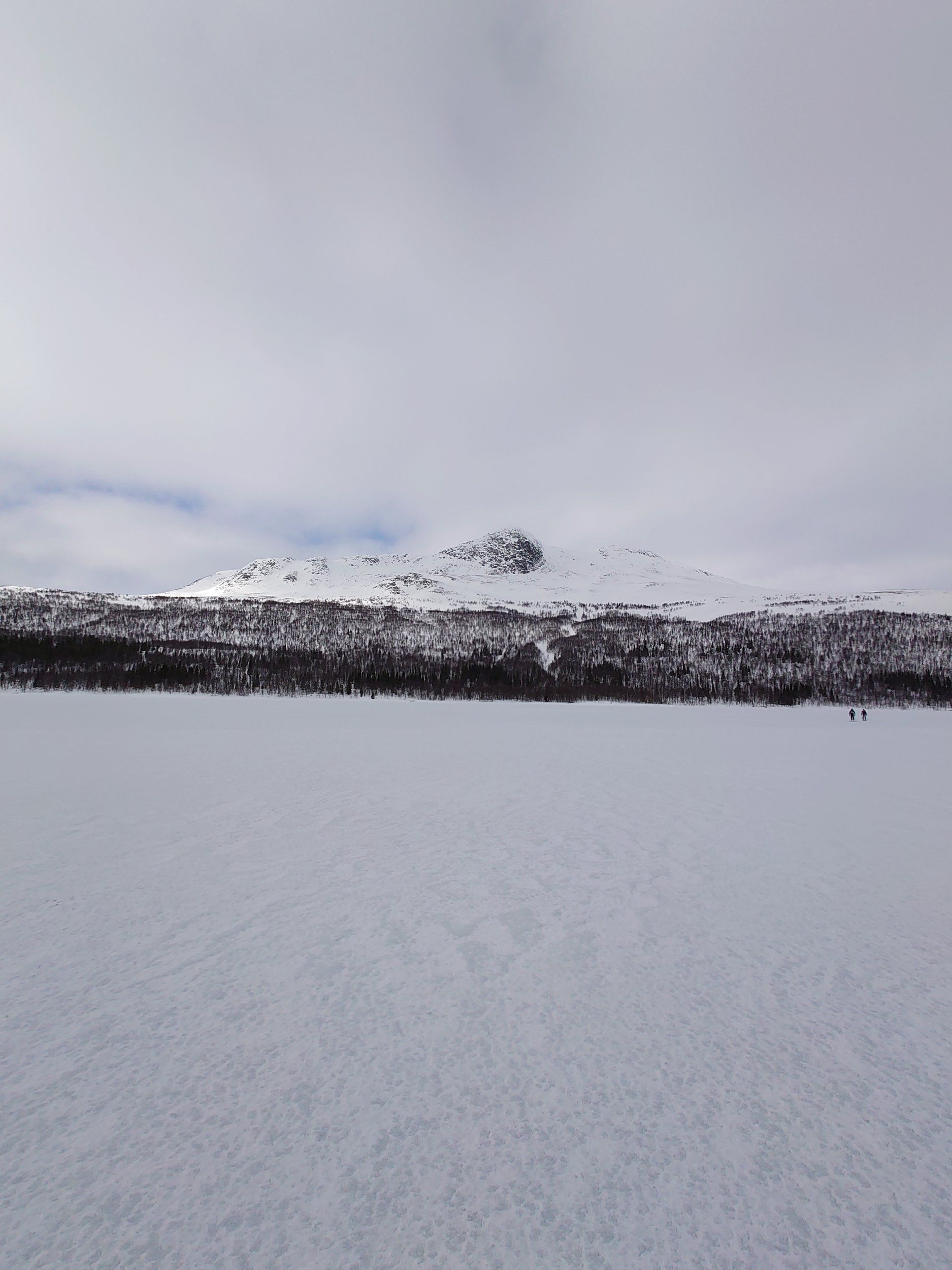 DSC_0953.JPG