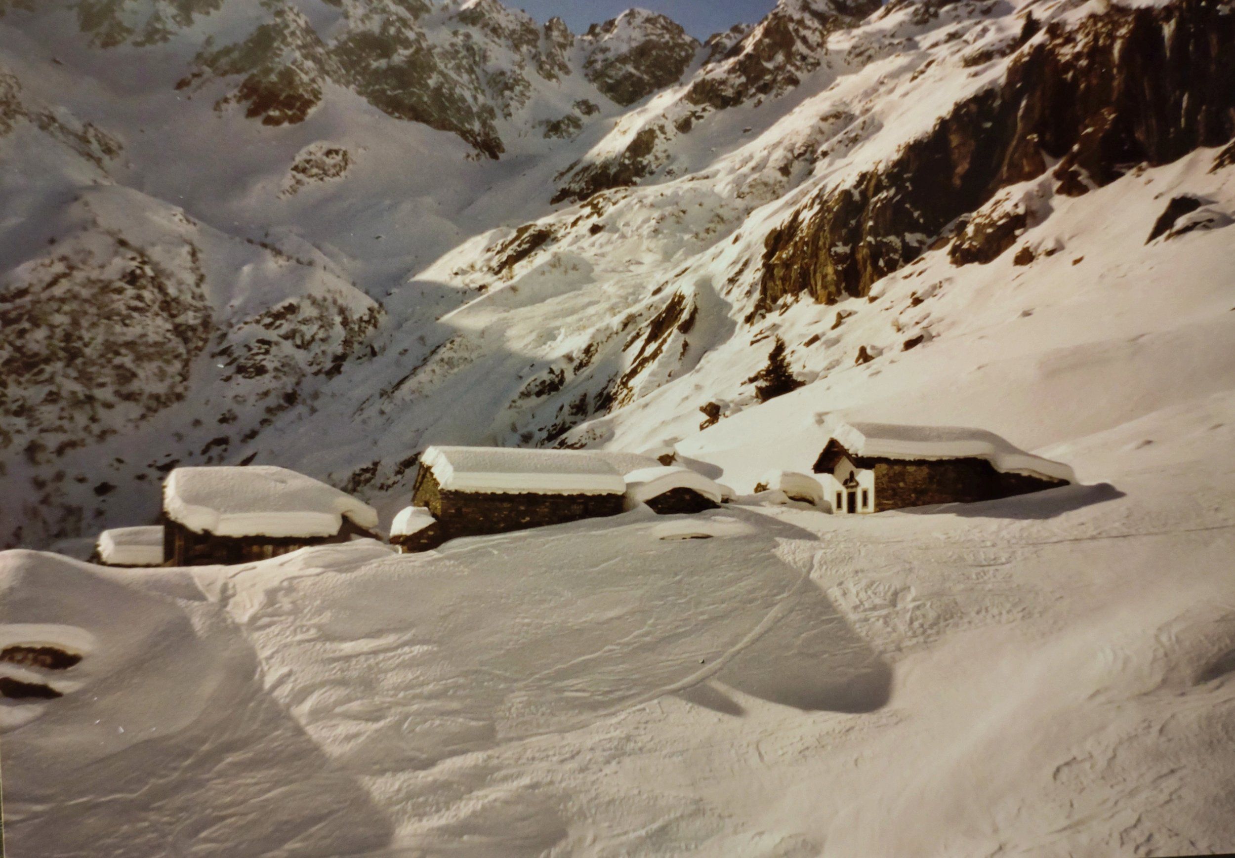 DSC_2065-01.jpeg