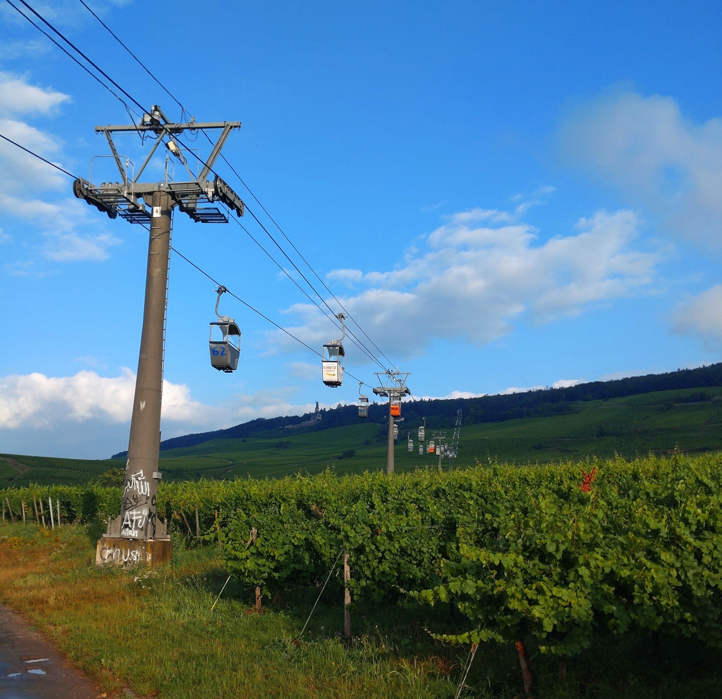 DSC_3225-01.jpeg