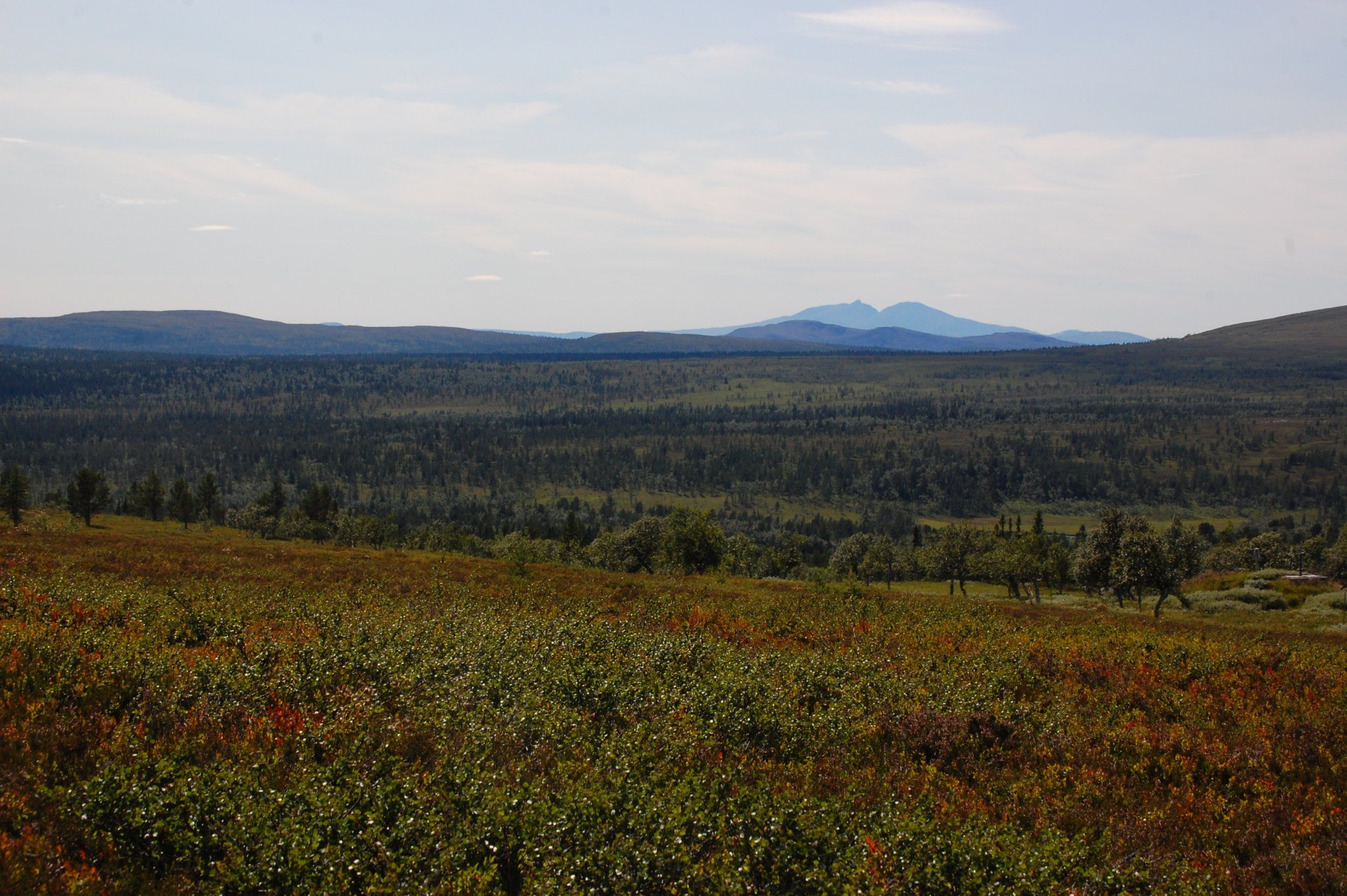 DSC_3541.JPG