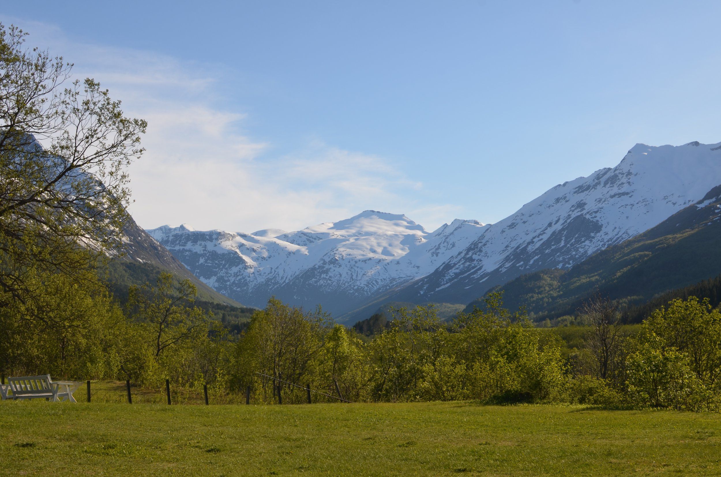 DSC_3940.JPG