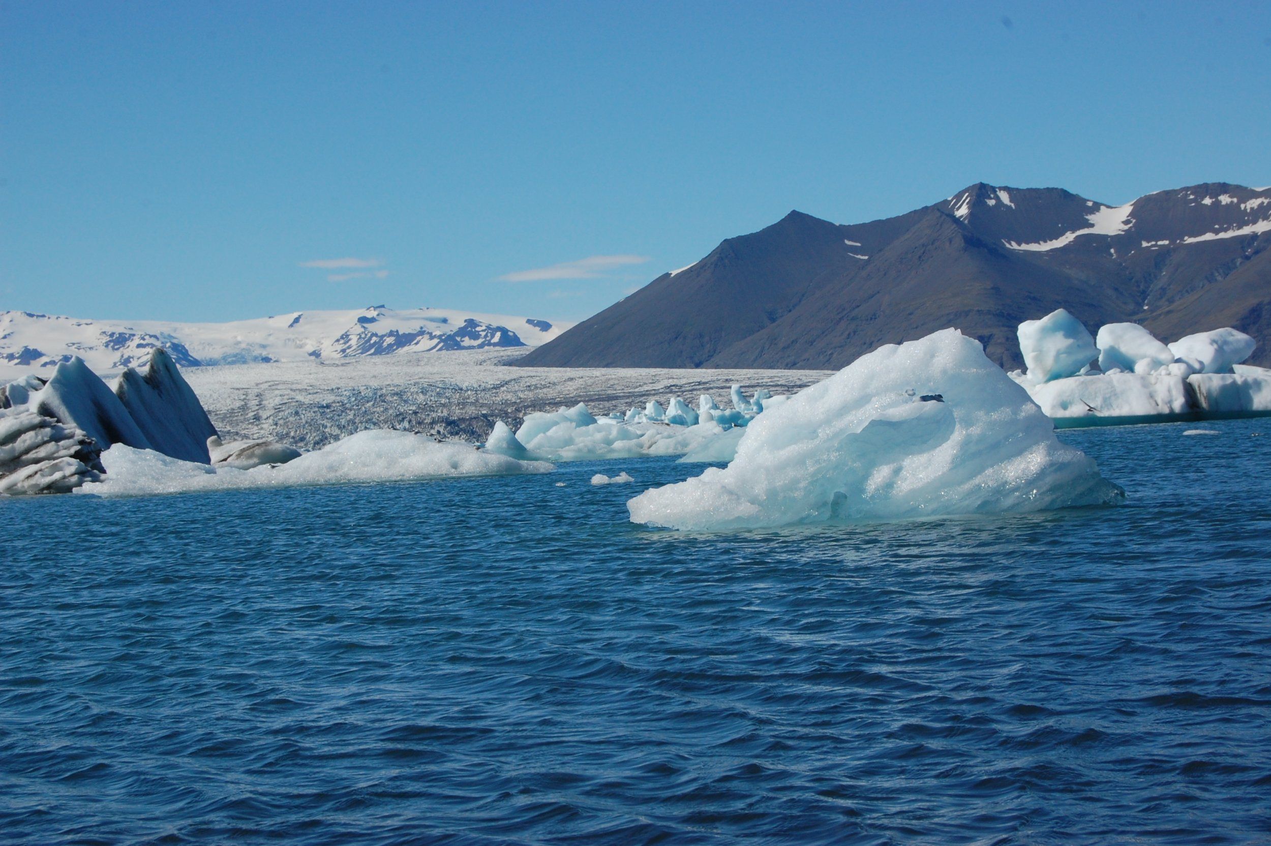 DSC_3948_1.JPG
