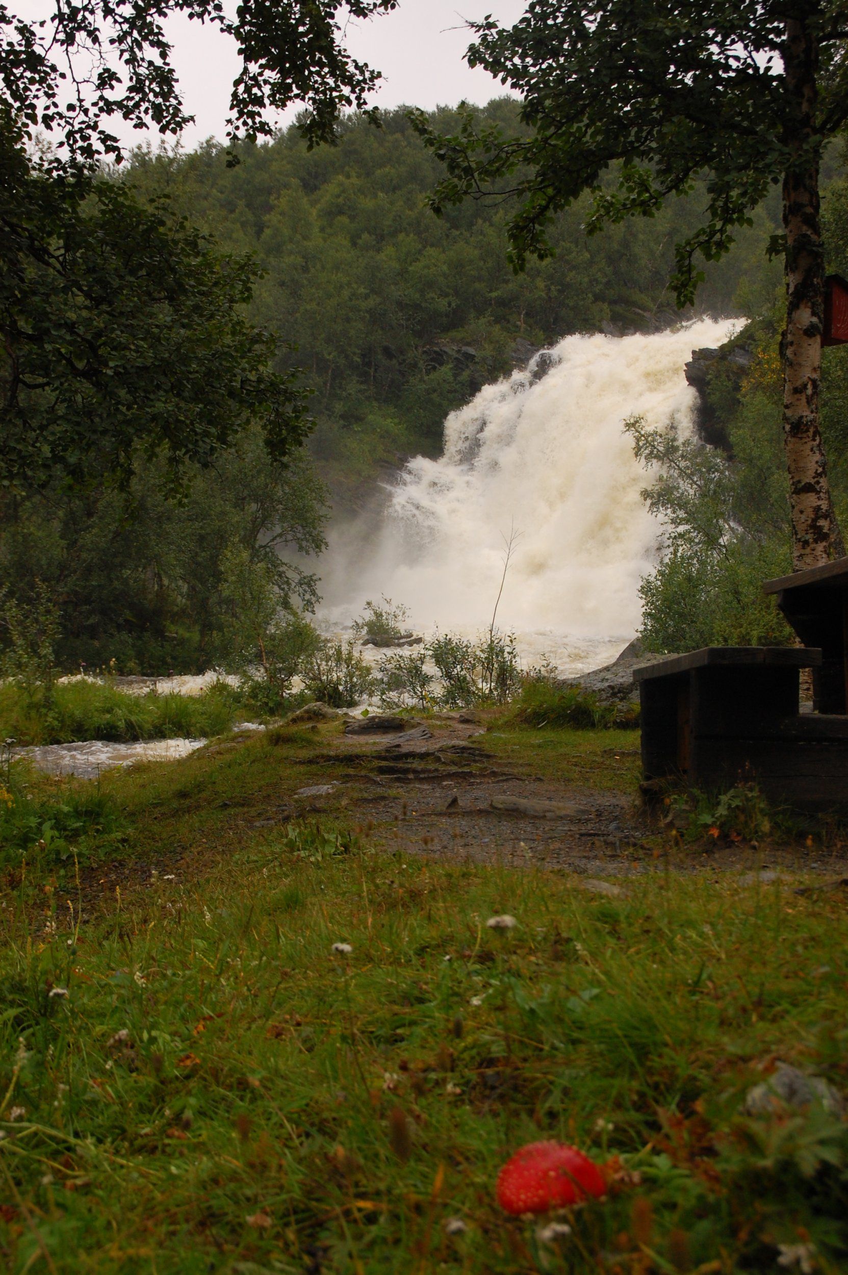 DSC_6662.JPG