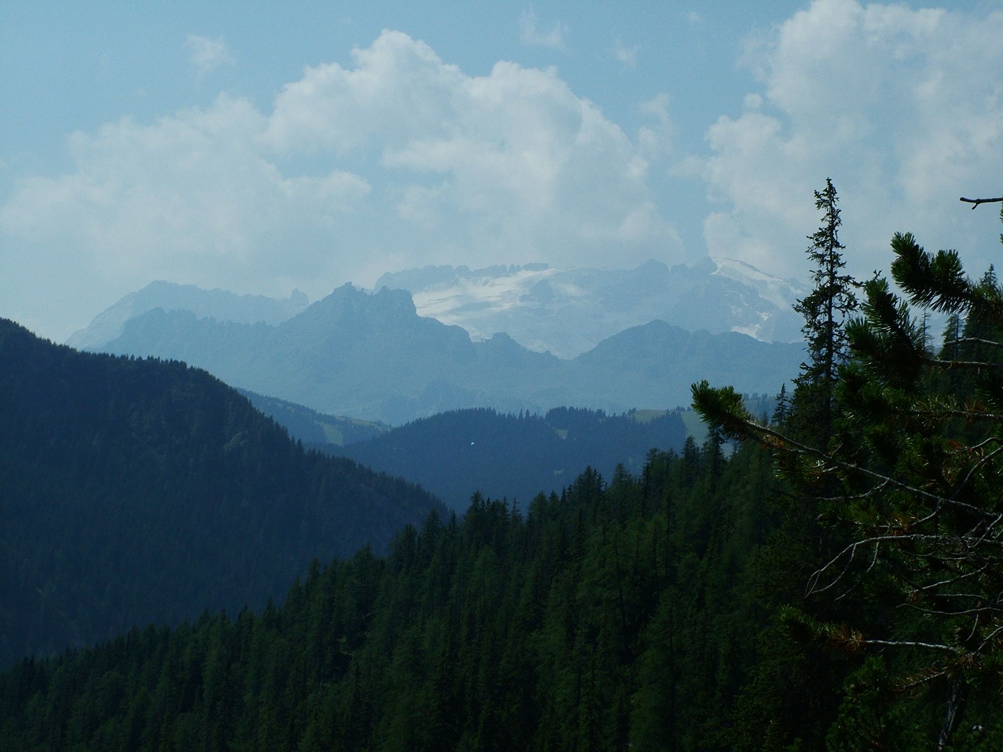 DSCF1912.JPG