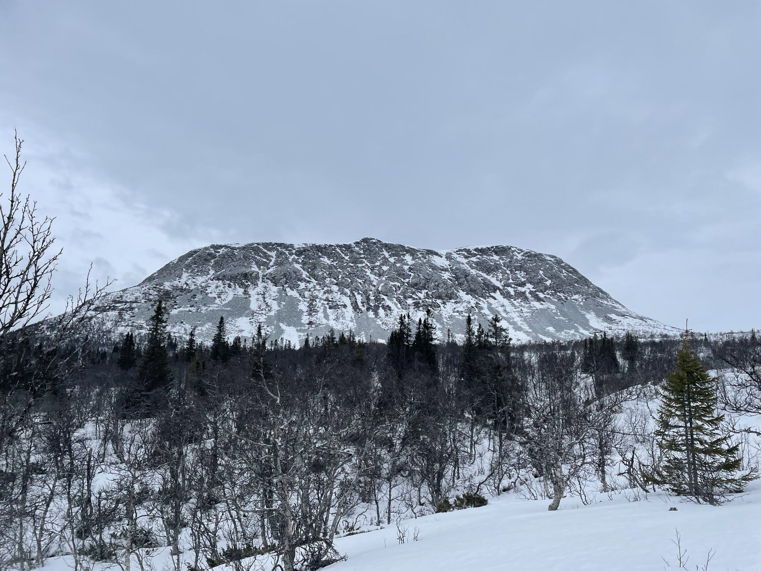 E8FD6615-4F8E-4913-B095-6392296F520B.jpeg