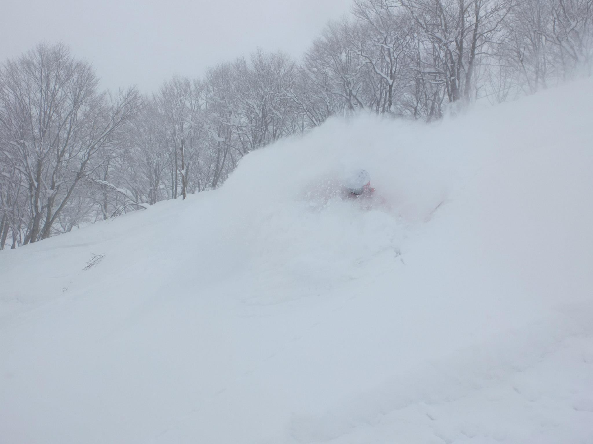 hakuba.jpg