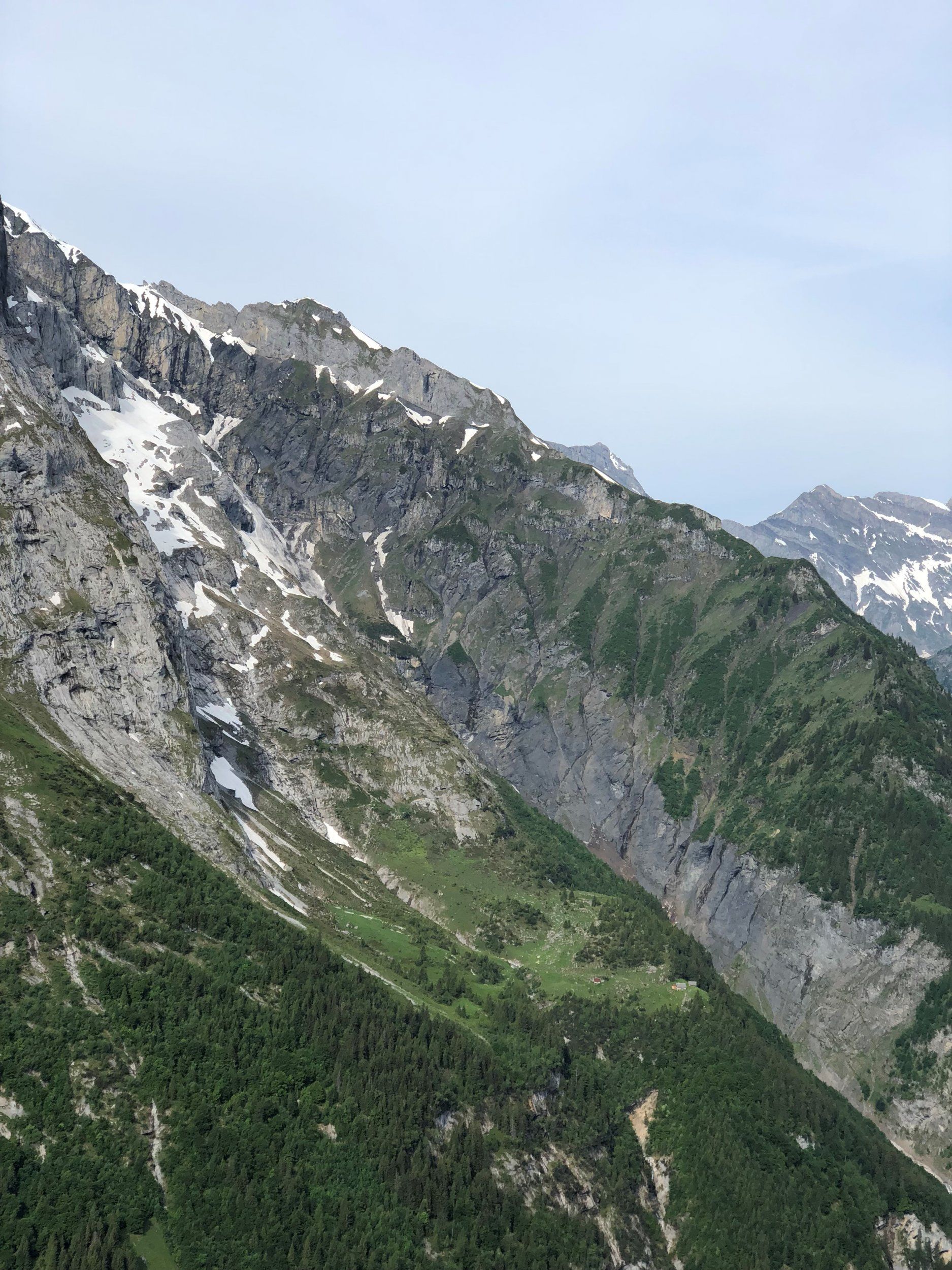 IMG_0452.jpg