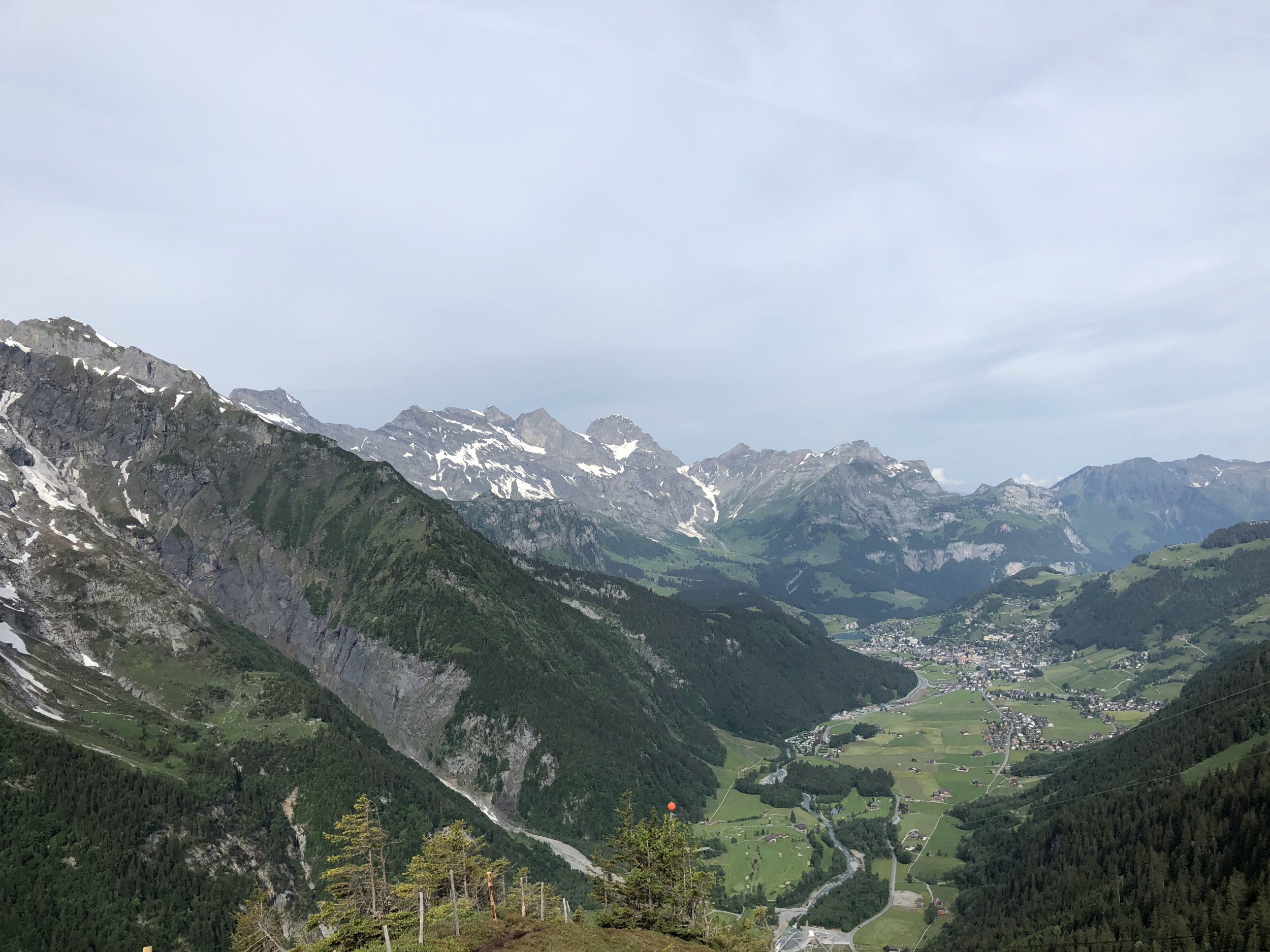 IMG_0455.jpg