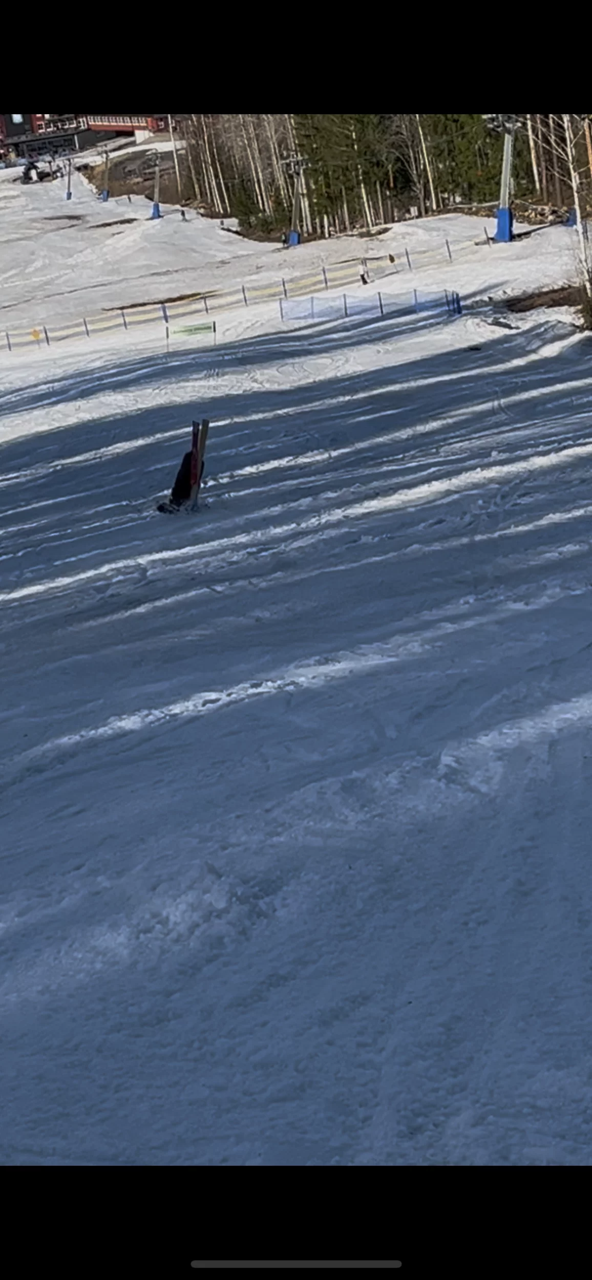IMG_0859.webp