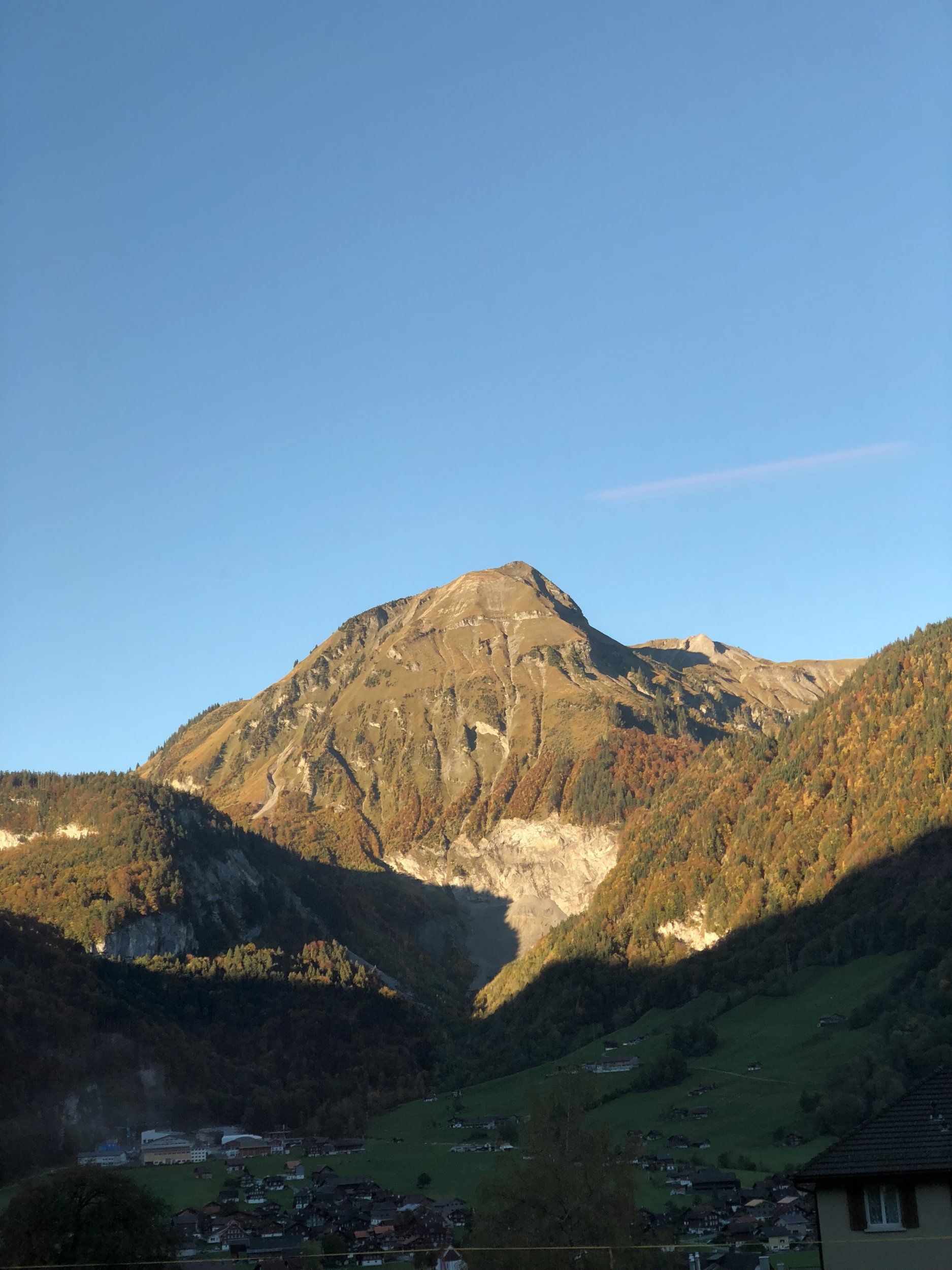 IMG_0880.jpg