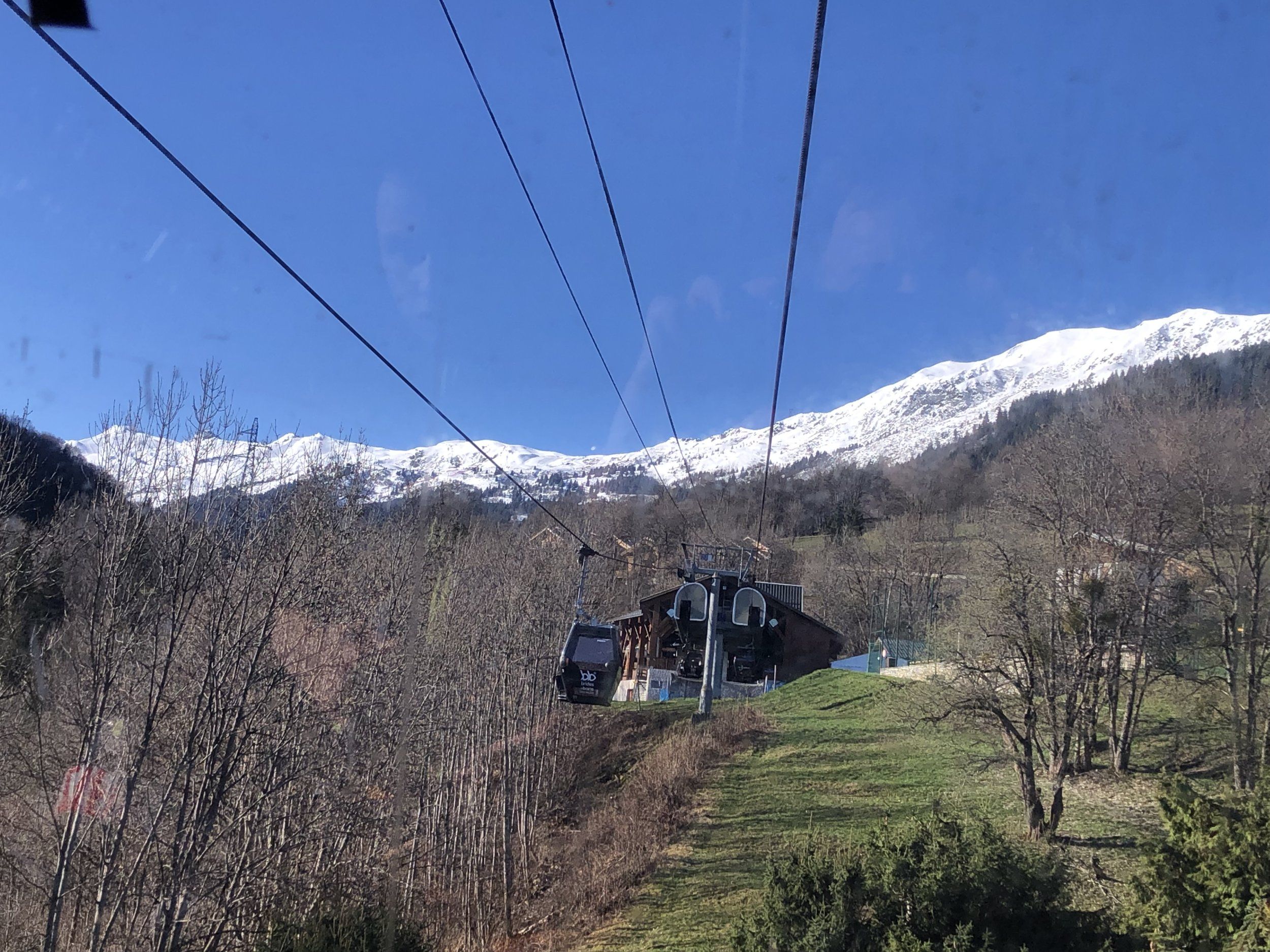 IMG_1130.jpeg
