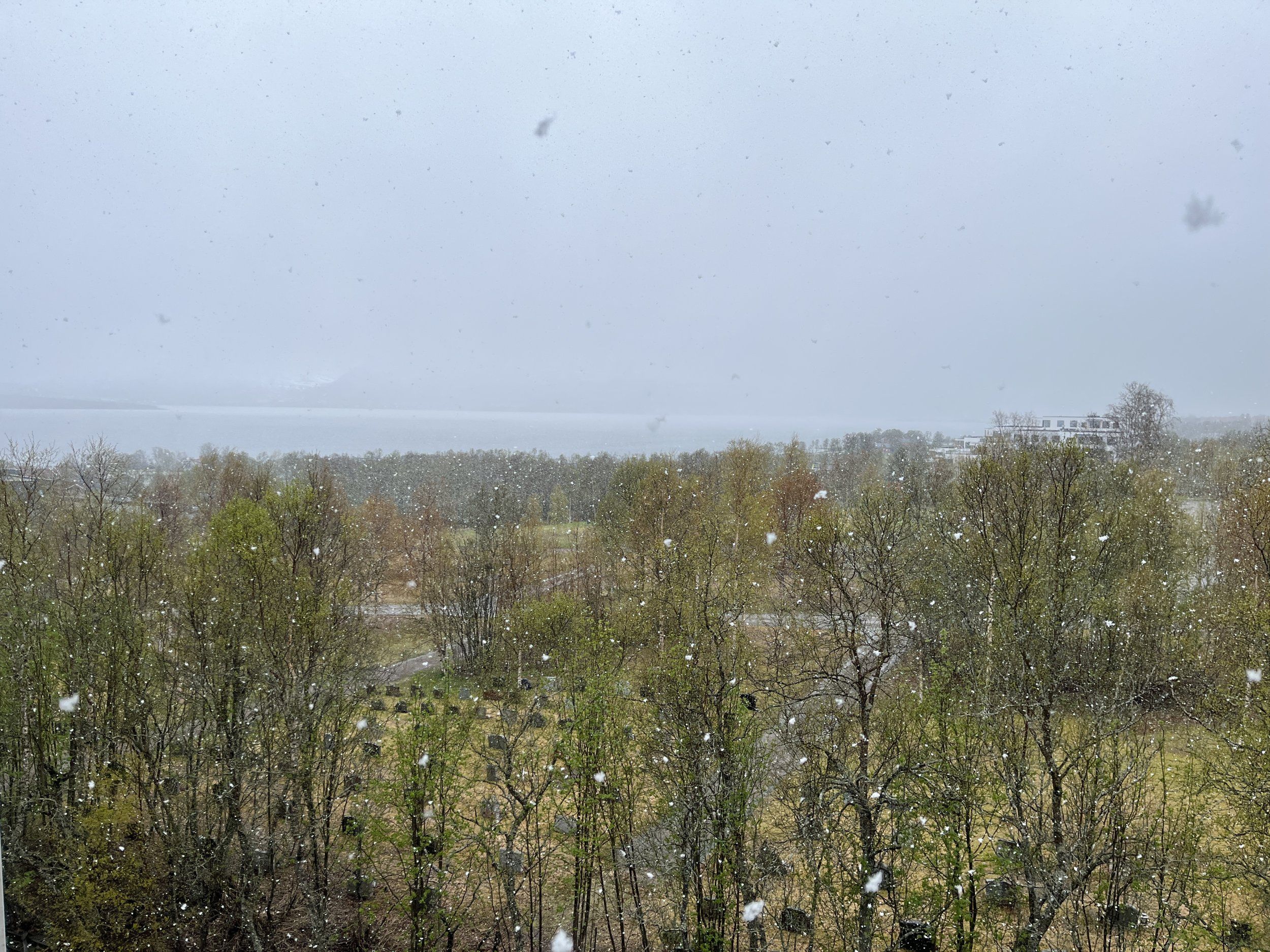 IMG_1580.jpeg