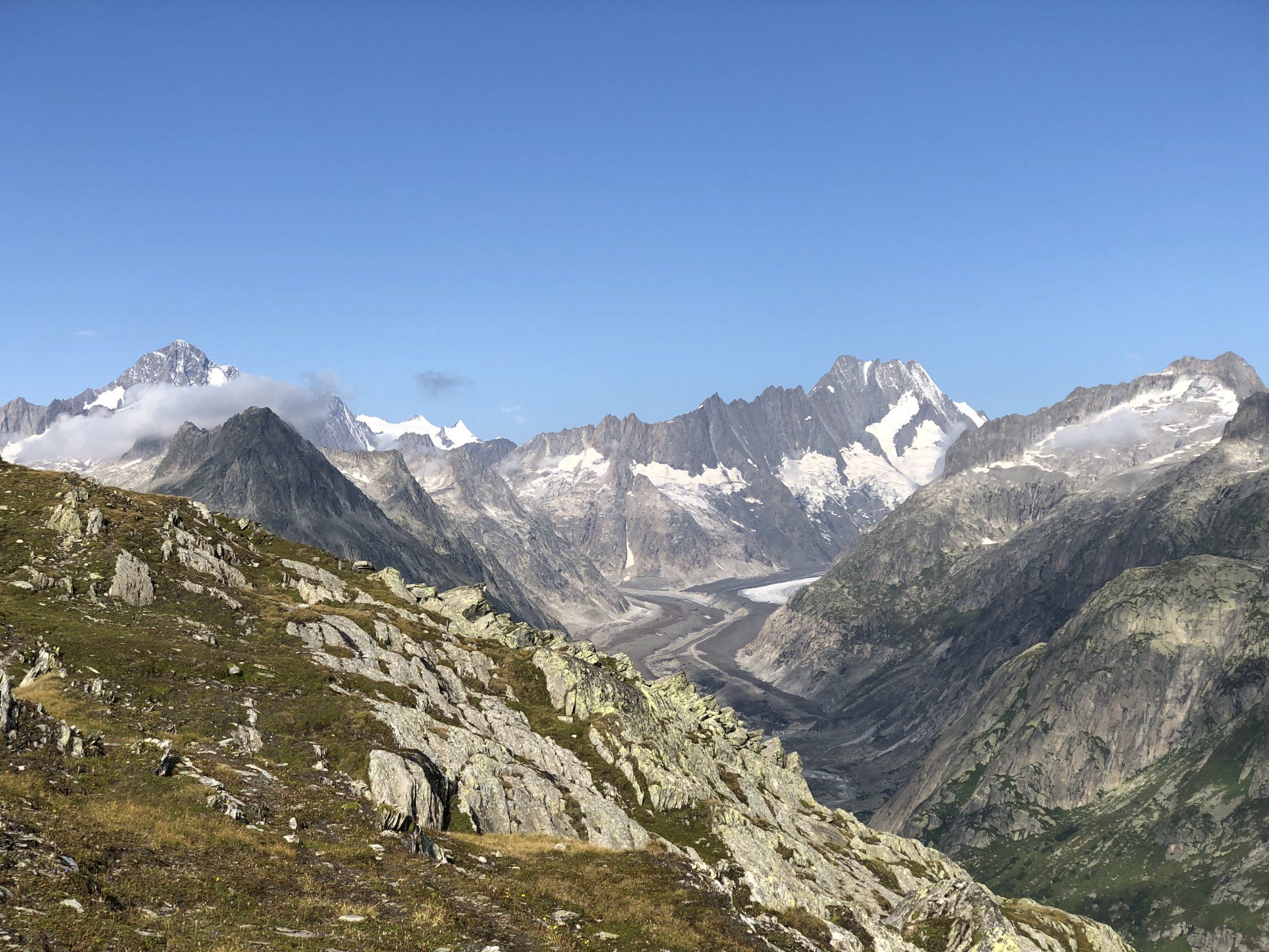 IMG_1740.jpg