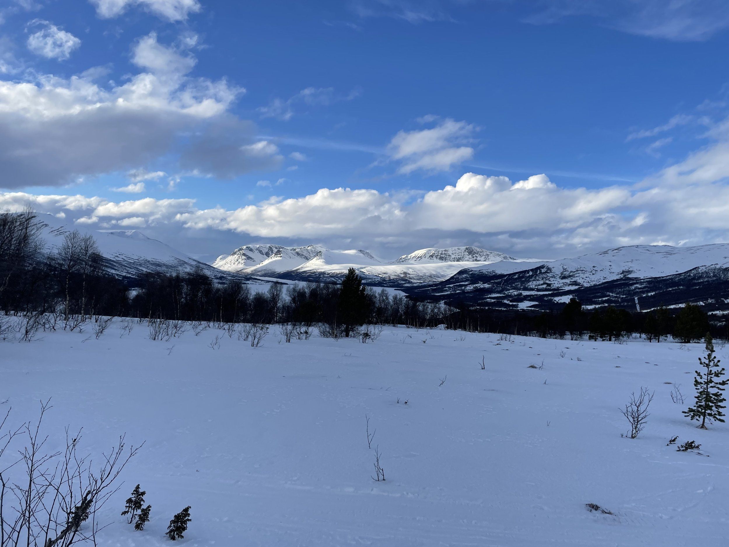 IMG_1866.jpeg