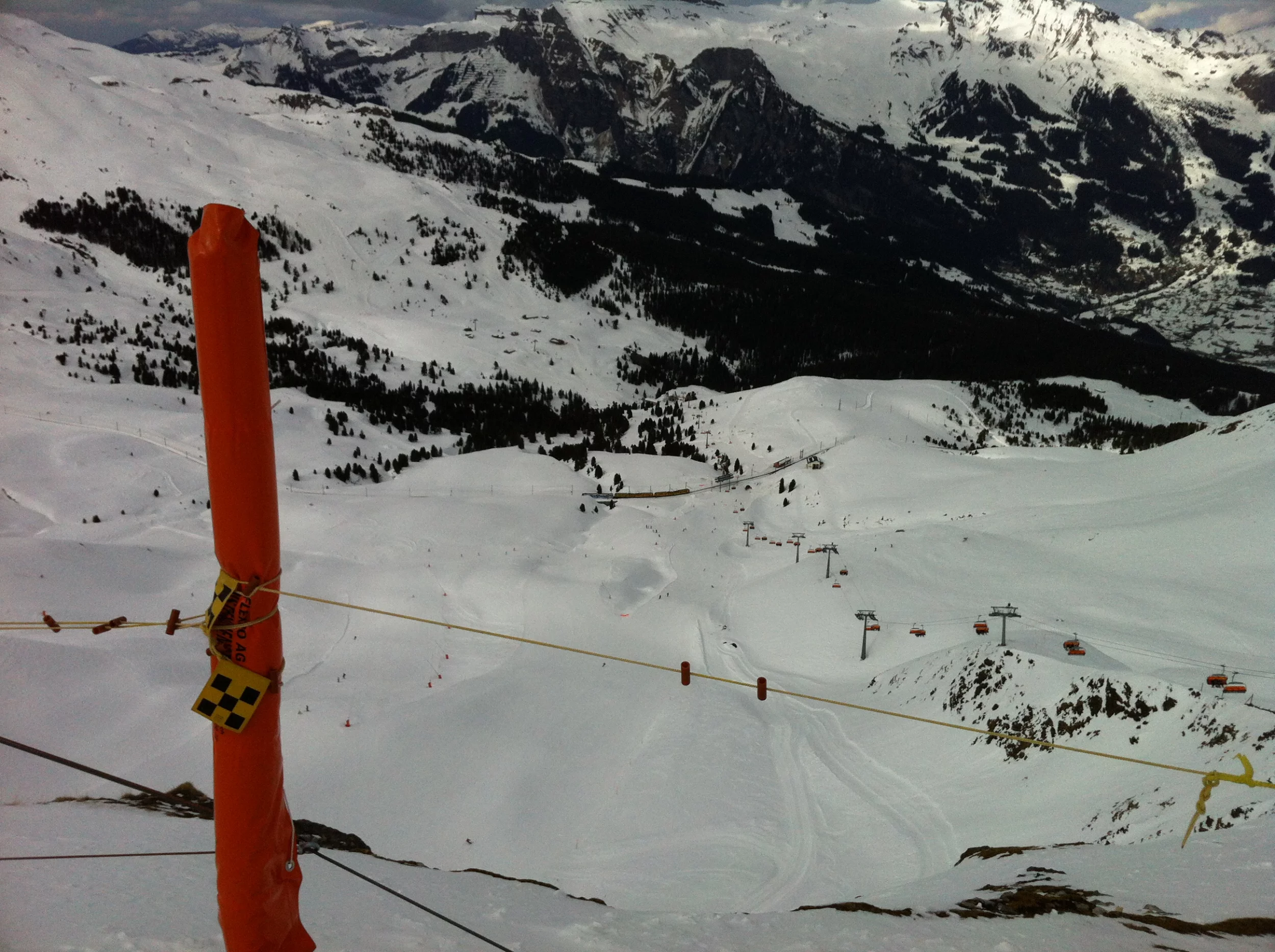 IMG_19.webp