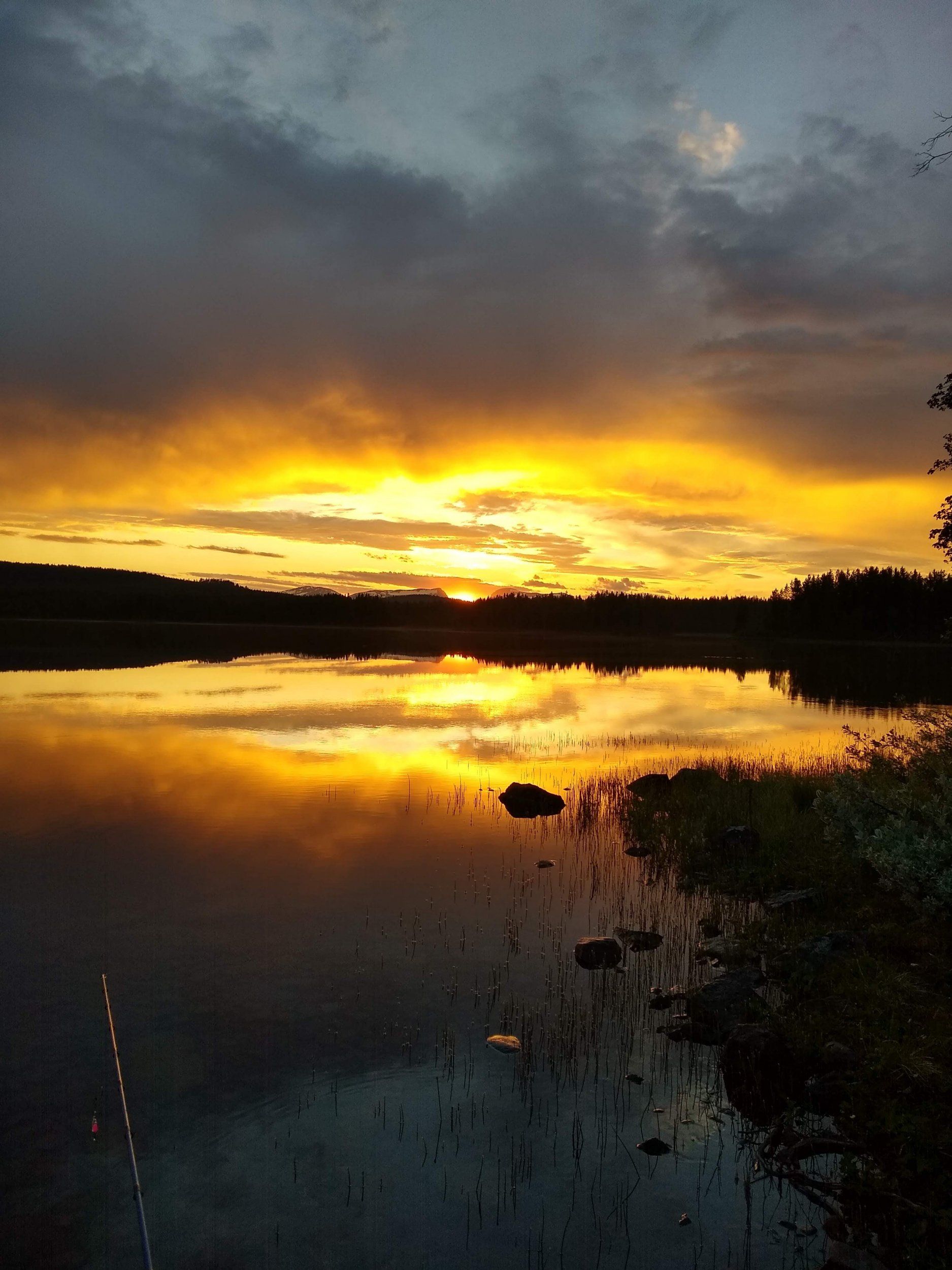 IMG_20200617_224503583_HDR.jpg