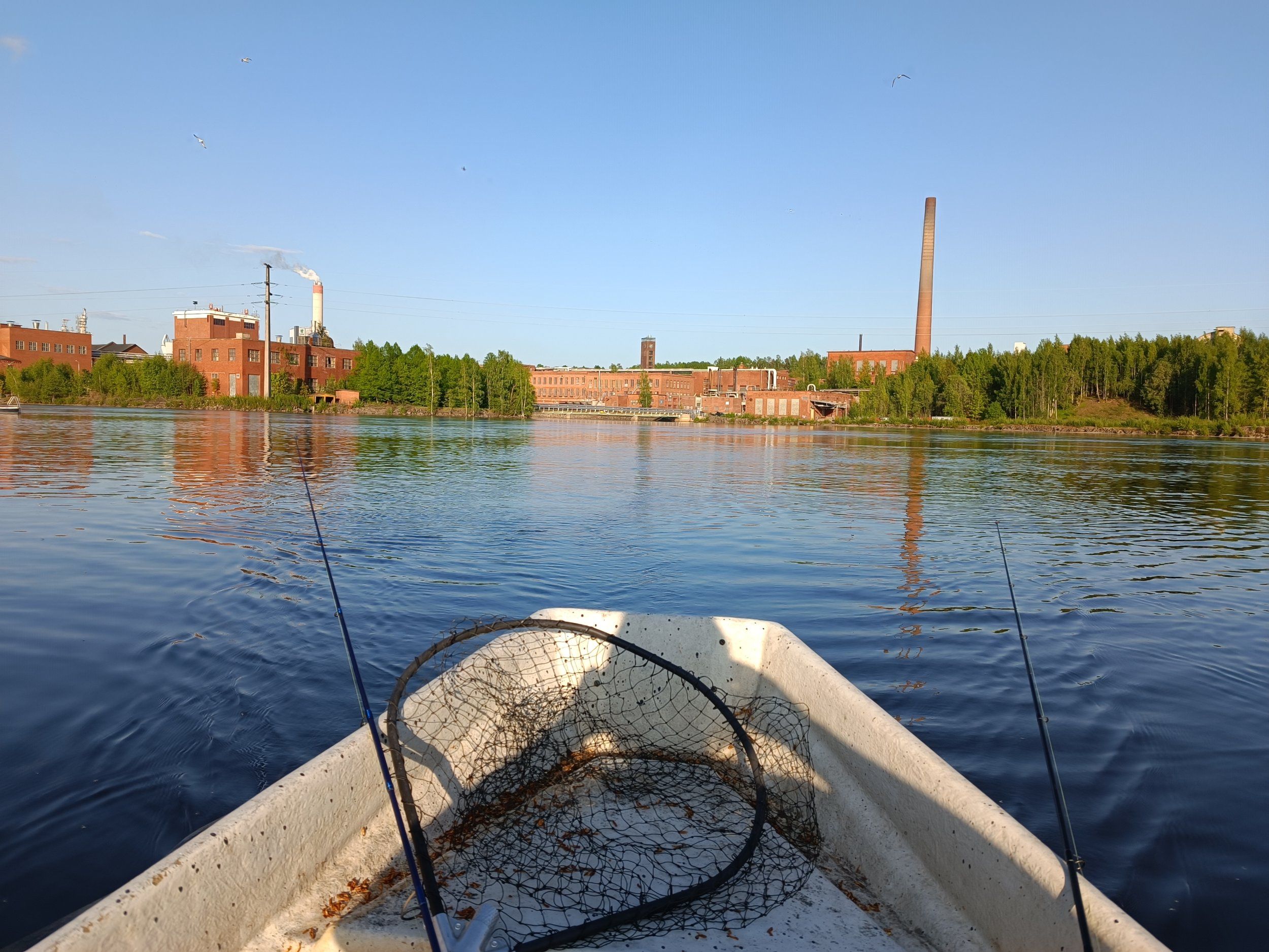 IMG_20230523_193102.jpg