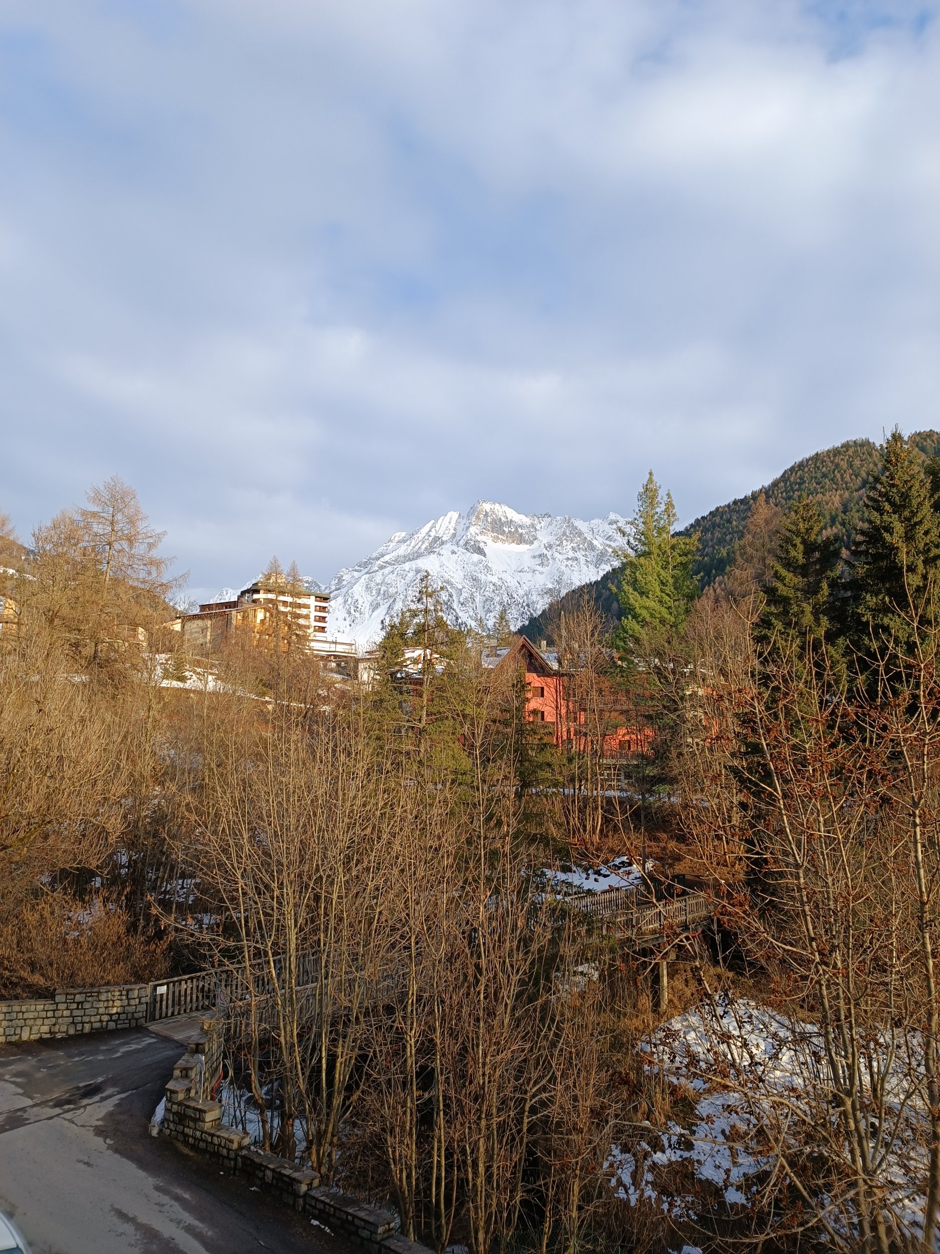 IMG_20240228_171106.jpg