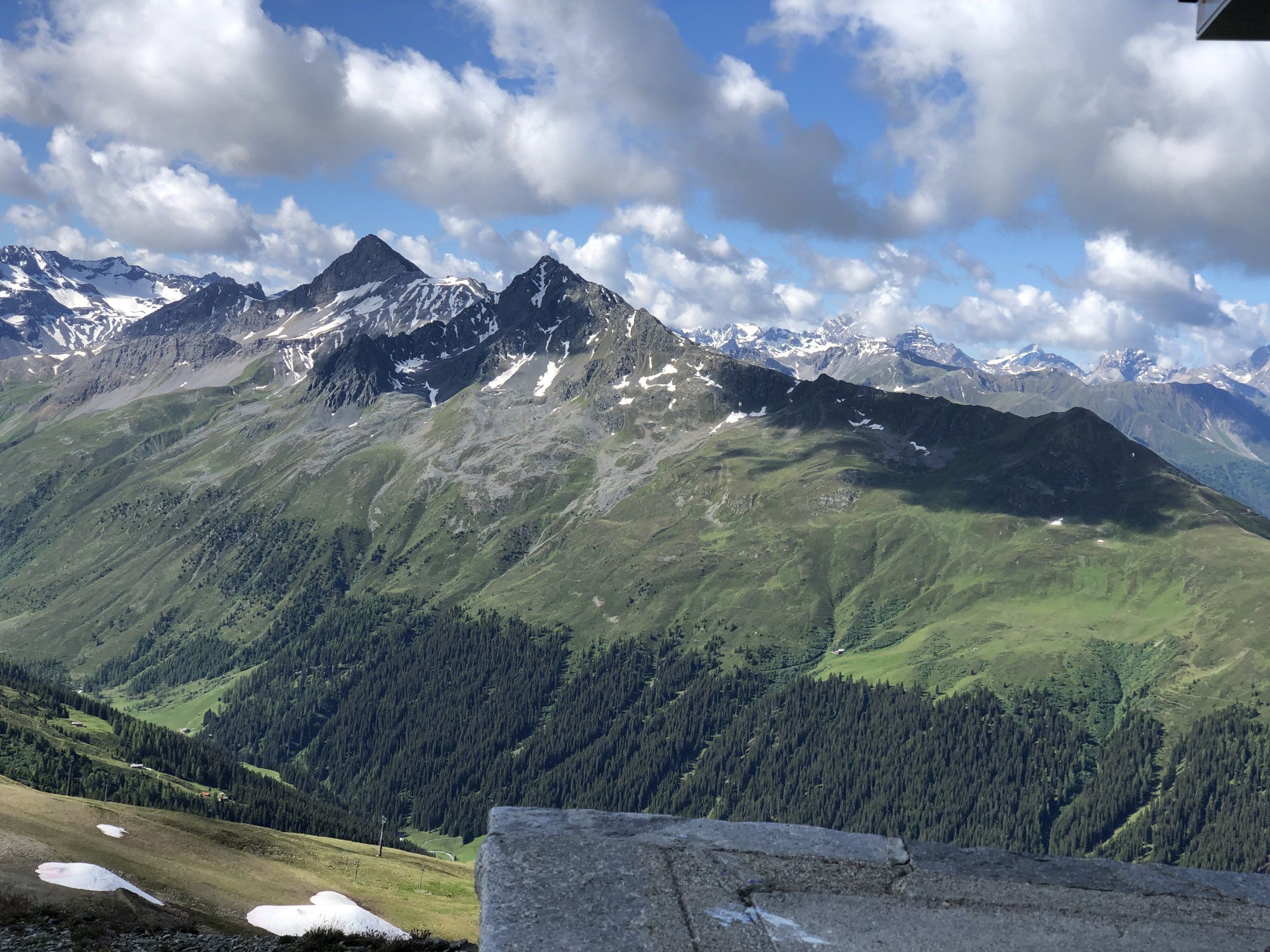 IMG_2172.jpg