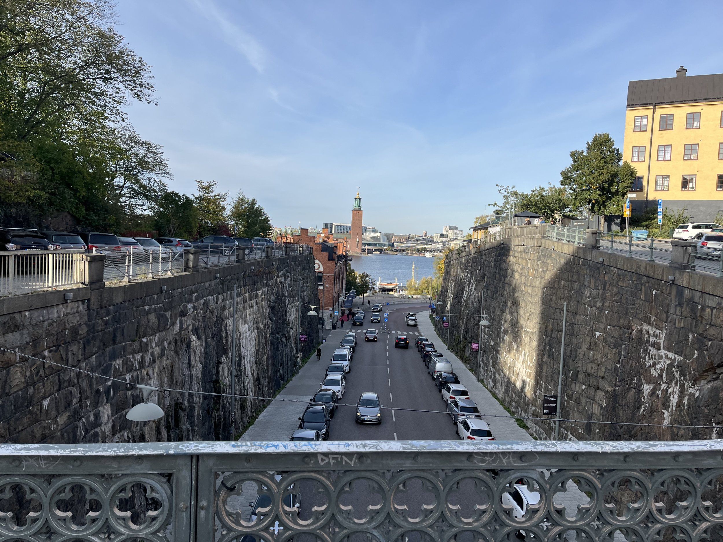 IMG_2532.jpeg