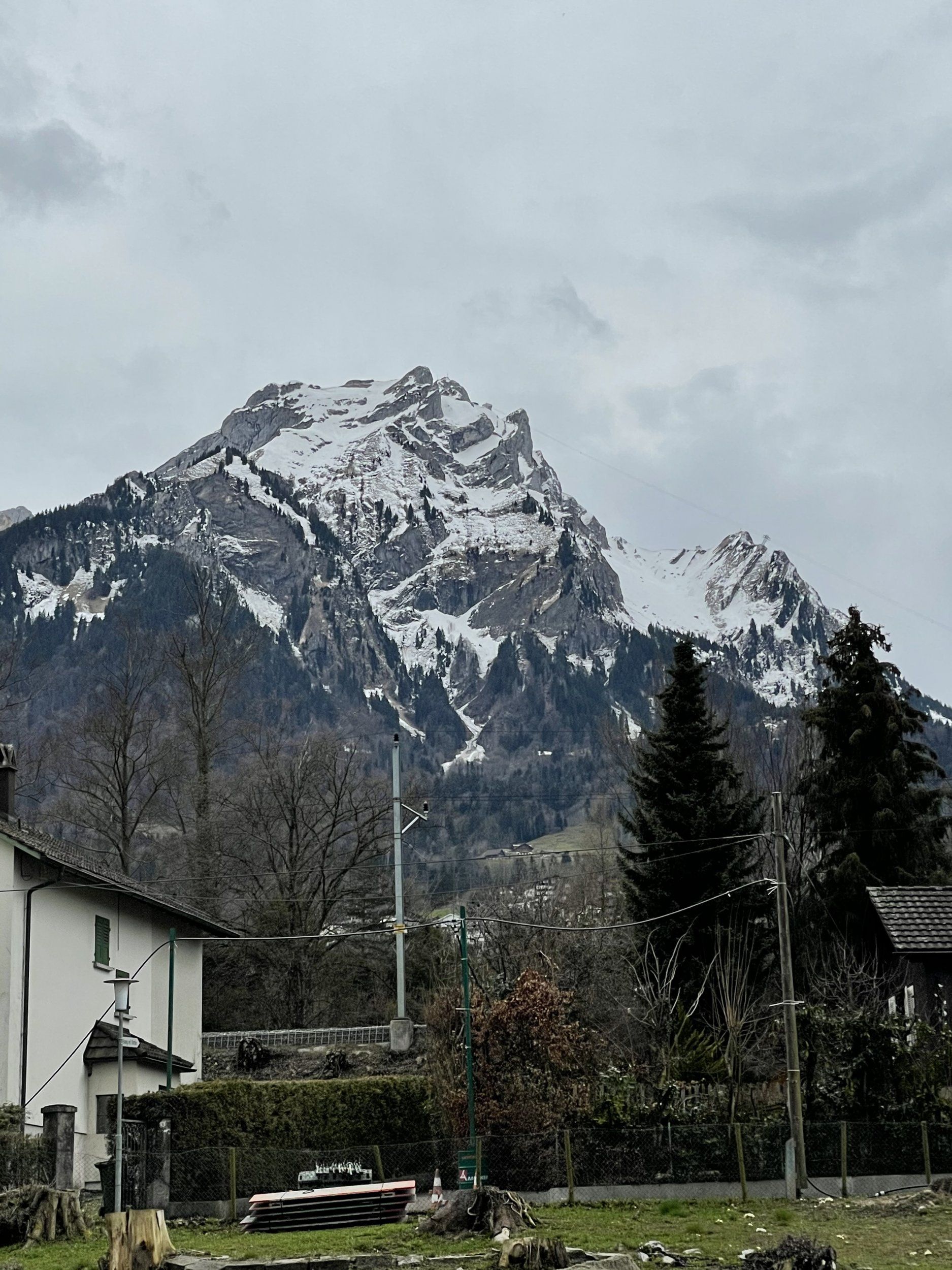 IMG_2567.jpg