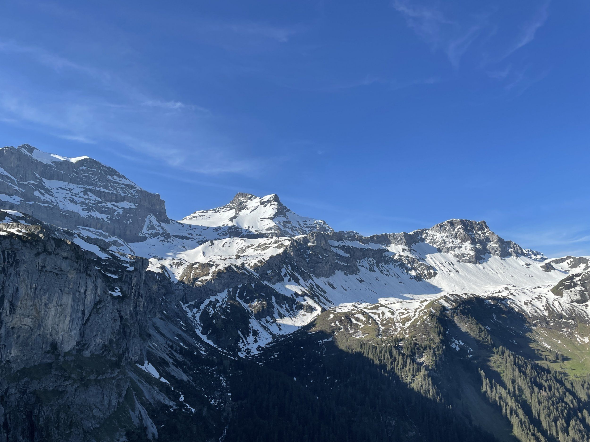 IMG_2764.JPG