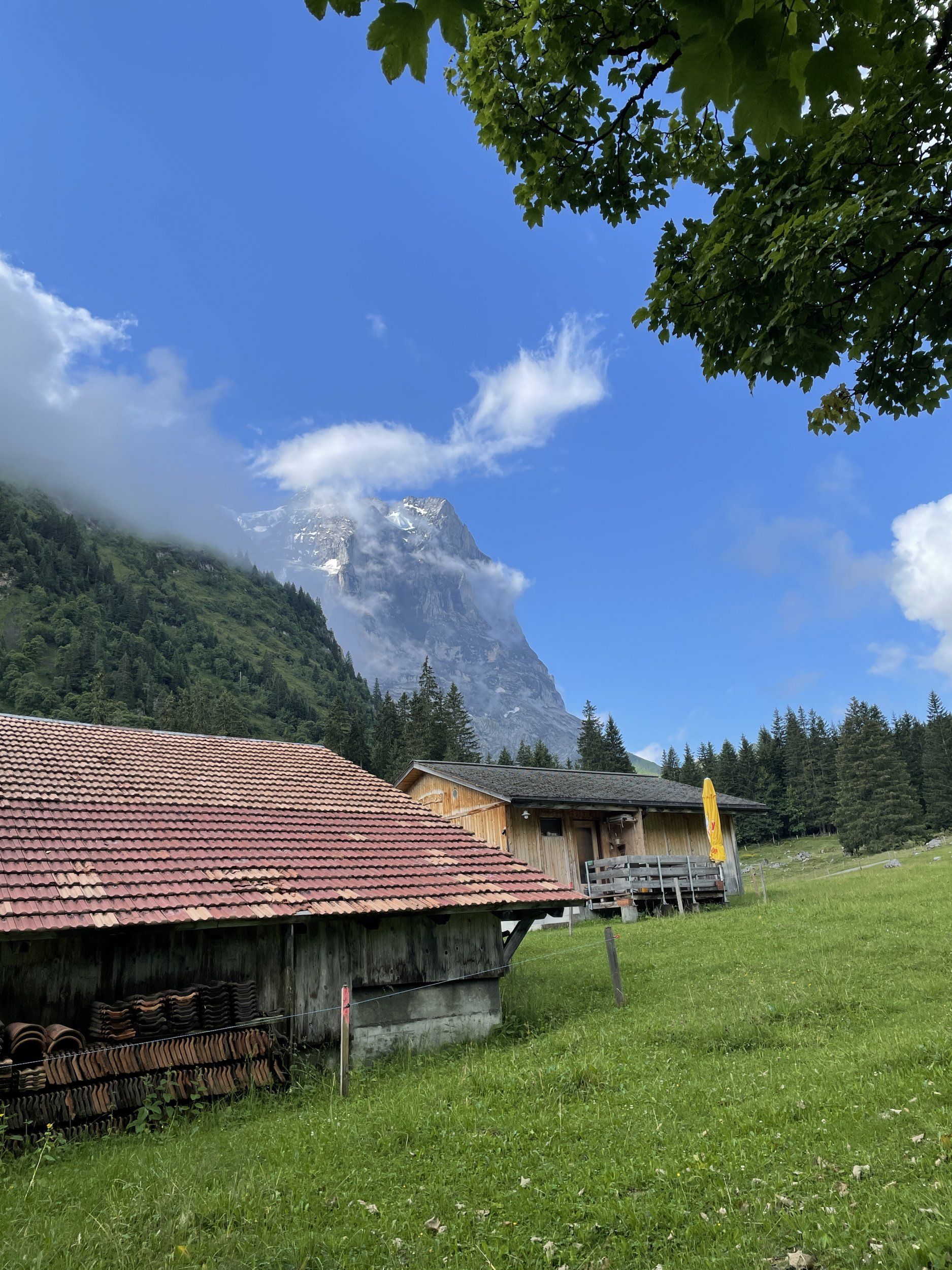 IMG_2988.JPG