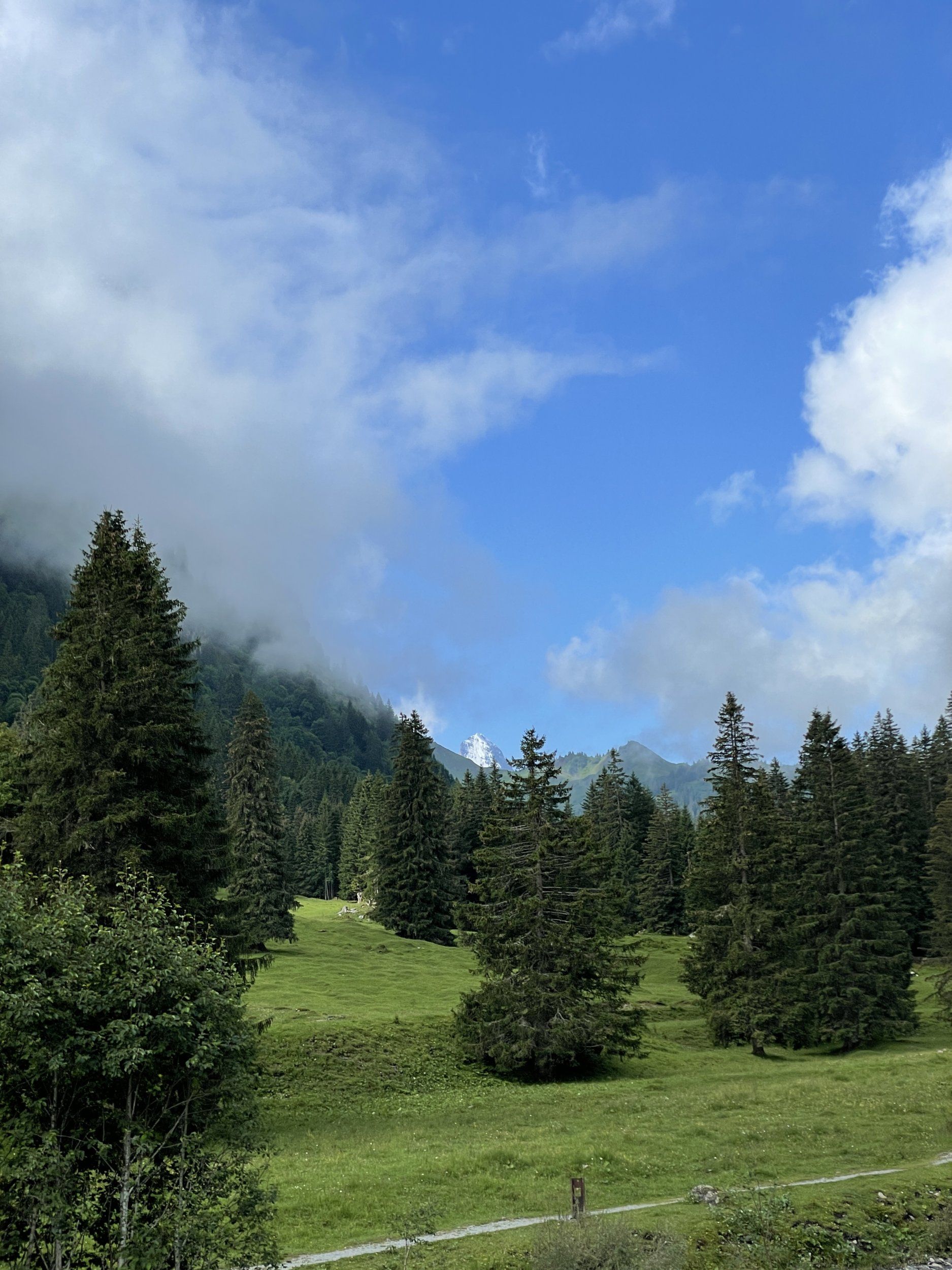 IMG_2990.JPG