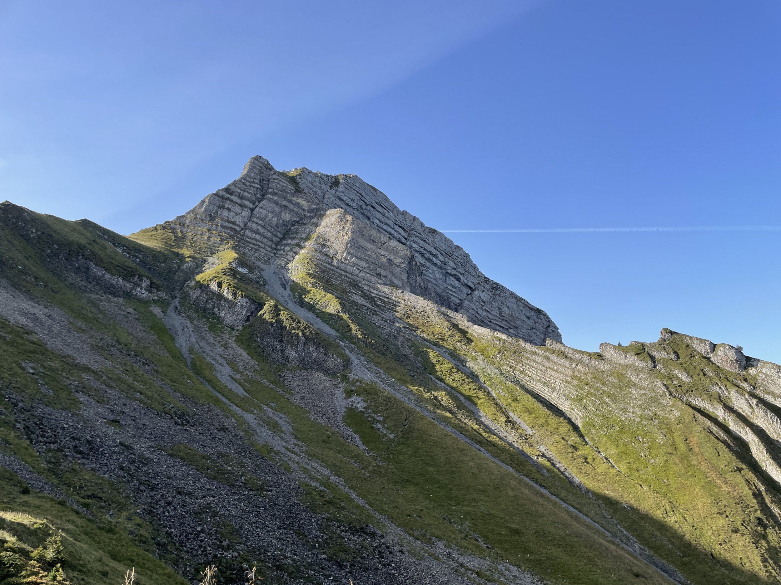IMG_3349.JPG