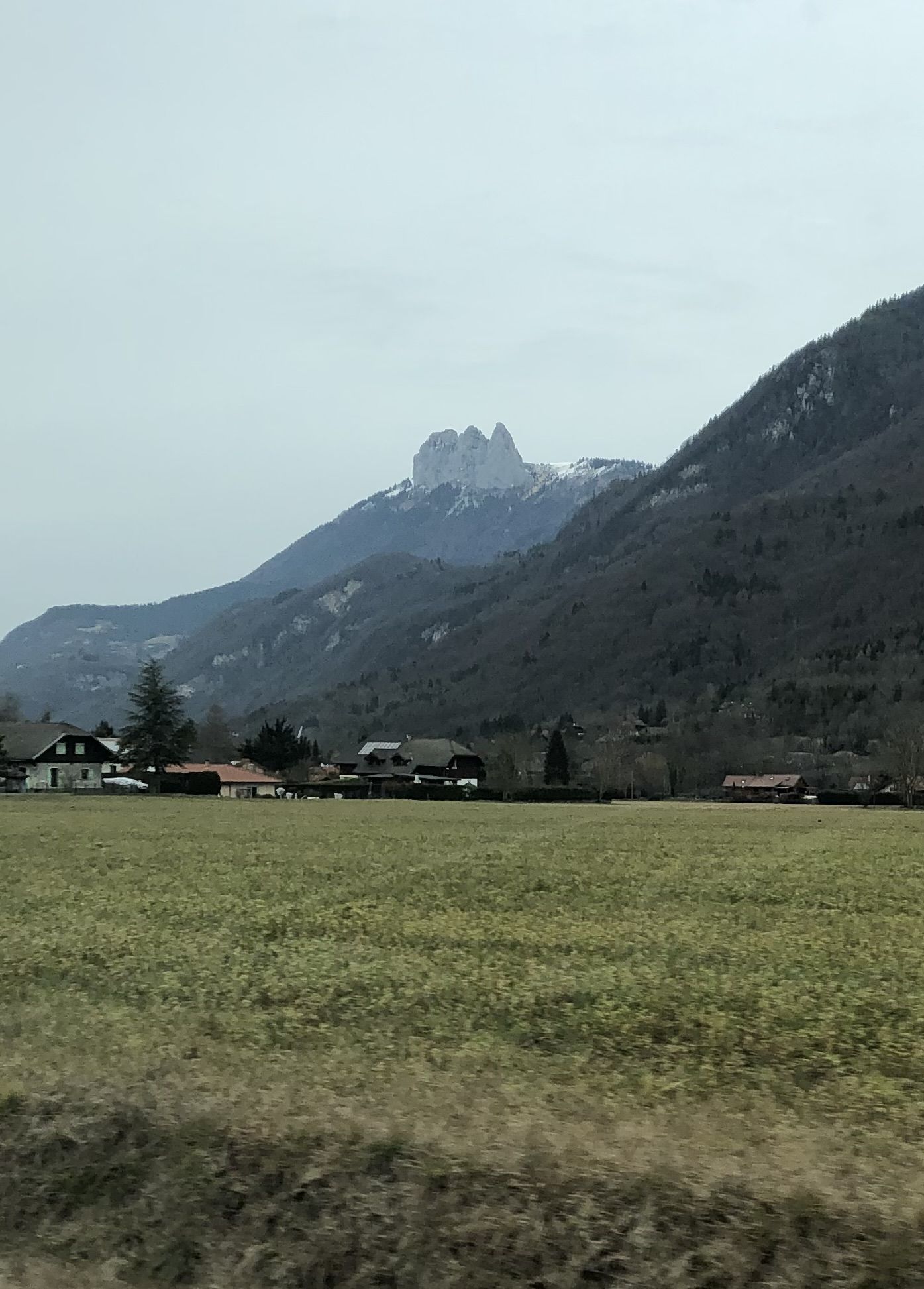 IMG_3565.jpeg