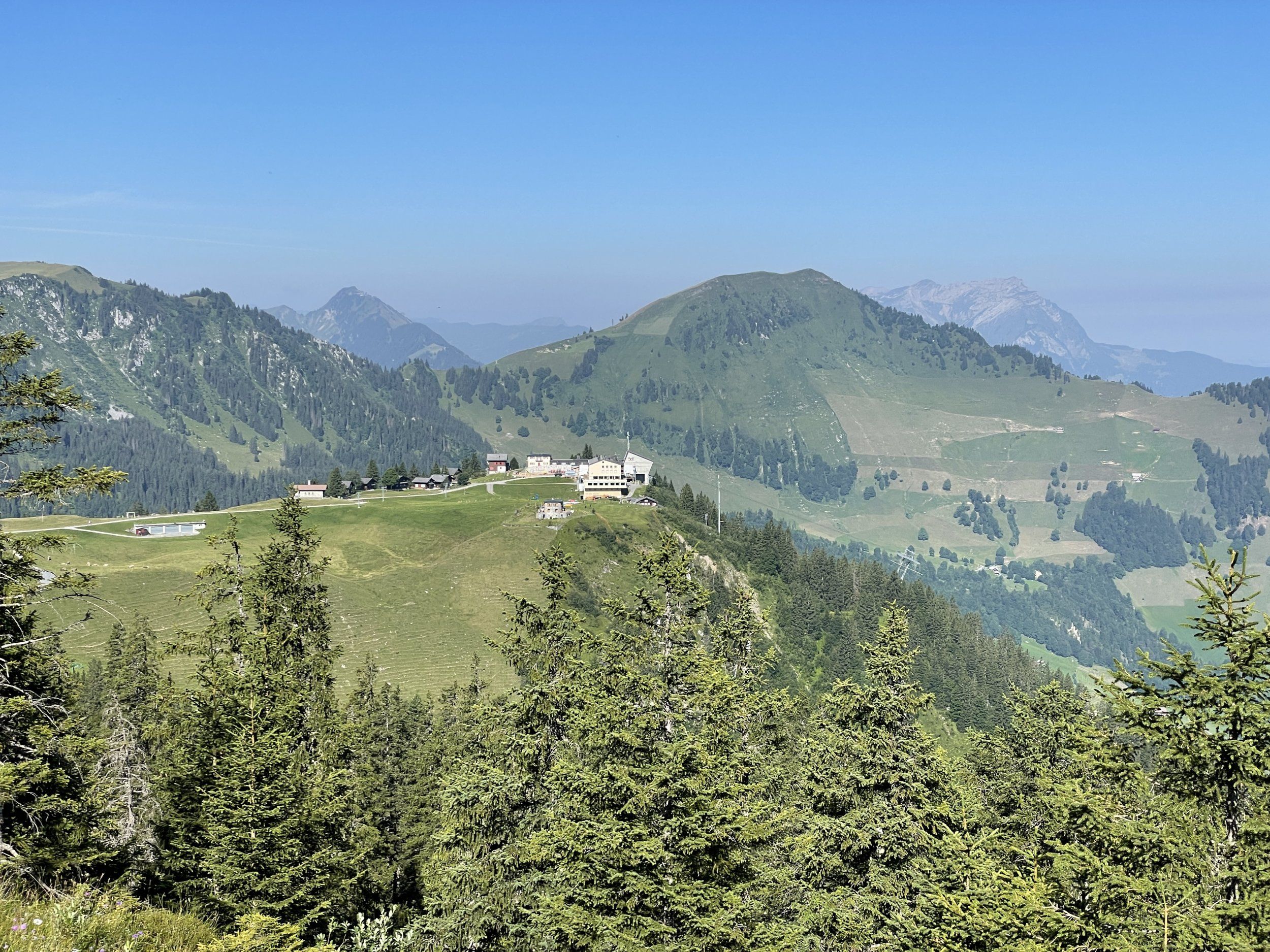 IMG_4114.JPG